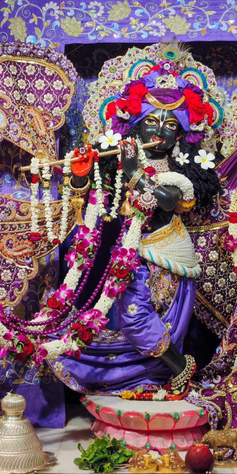 Sringar Darshan photo 5 of 12 — 25 May 2025