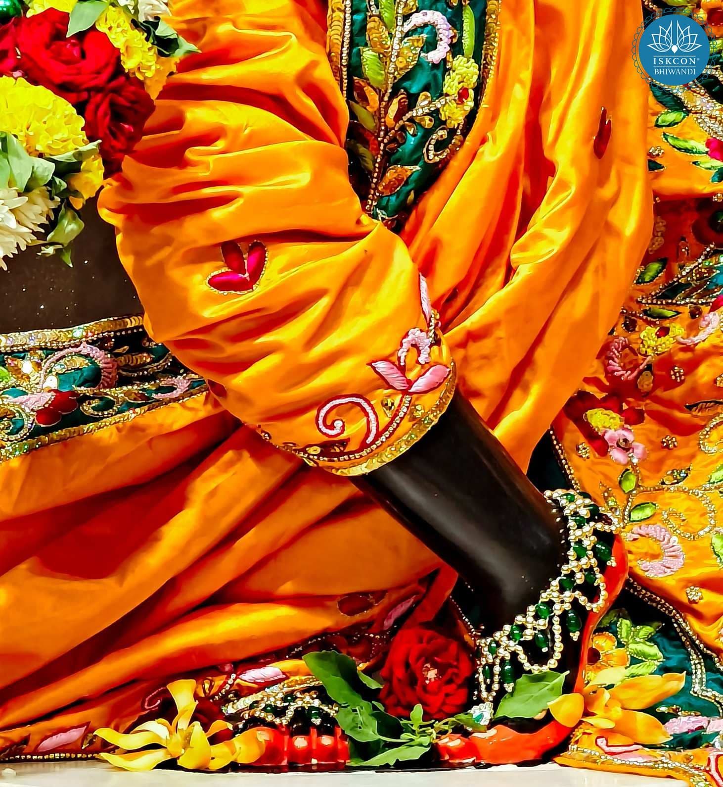 Sringar Darshan photo 11 of 12 — 10 June 2025
