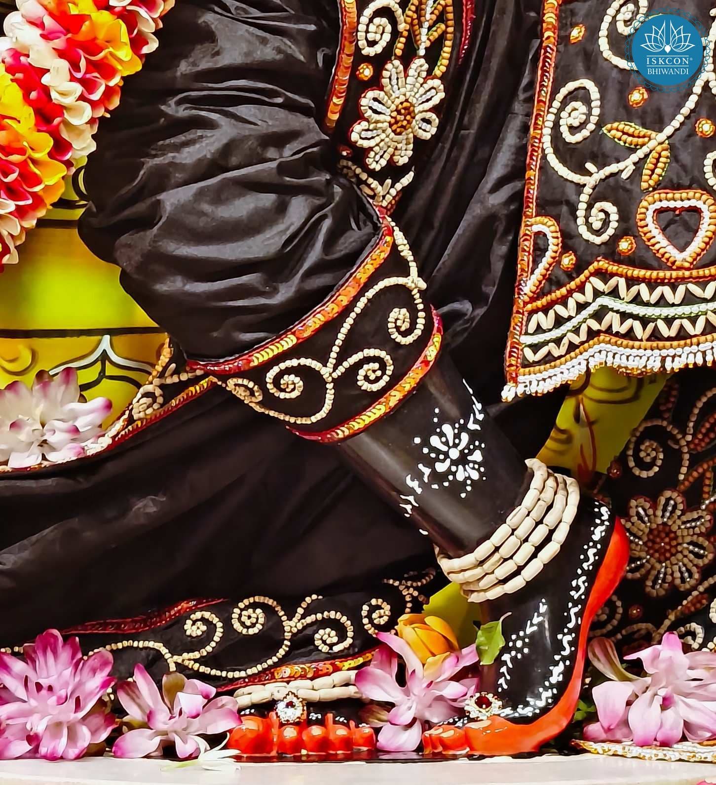Sringar Darshan photo 7 of 12 — 11 June 2025