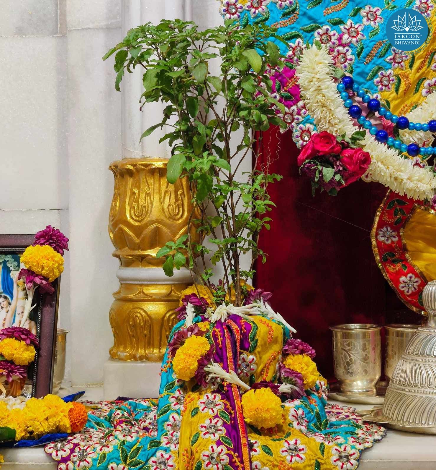 Sringar Darshan photo 10 of 12 — 13 June 2025