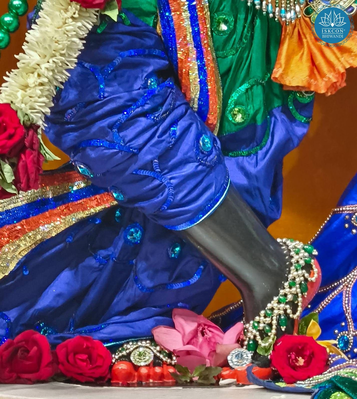 Sringar Darshan photo 3 of 12 — 14 June 2025
