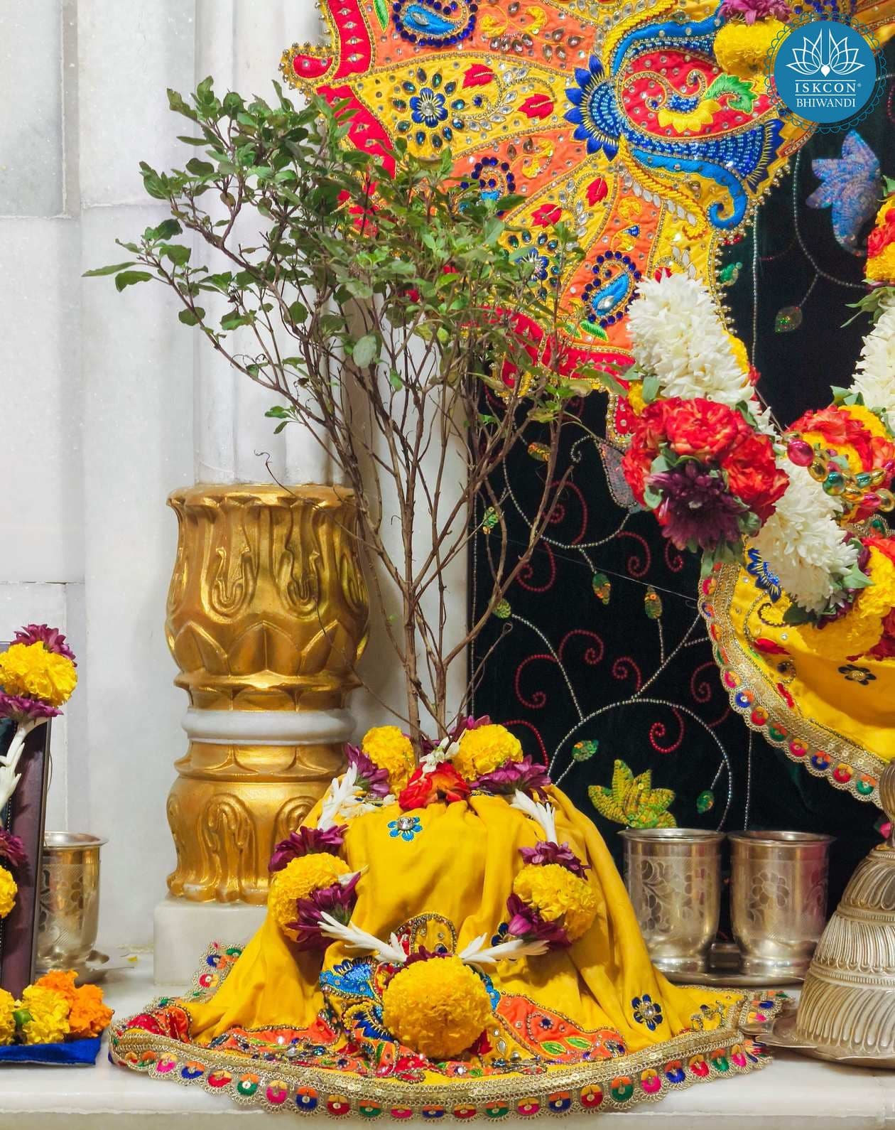 Sringar Darshan photo 9 of 9 — 19 June 2025