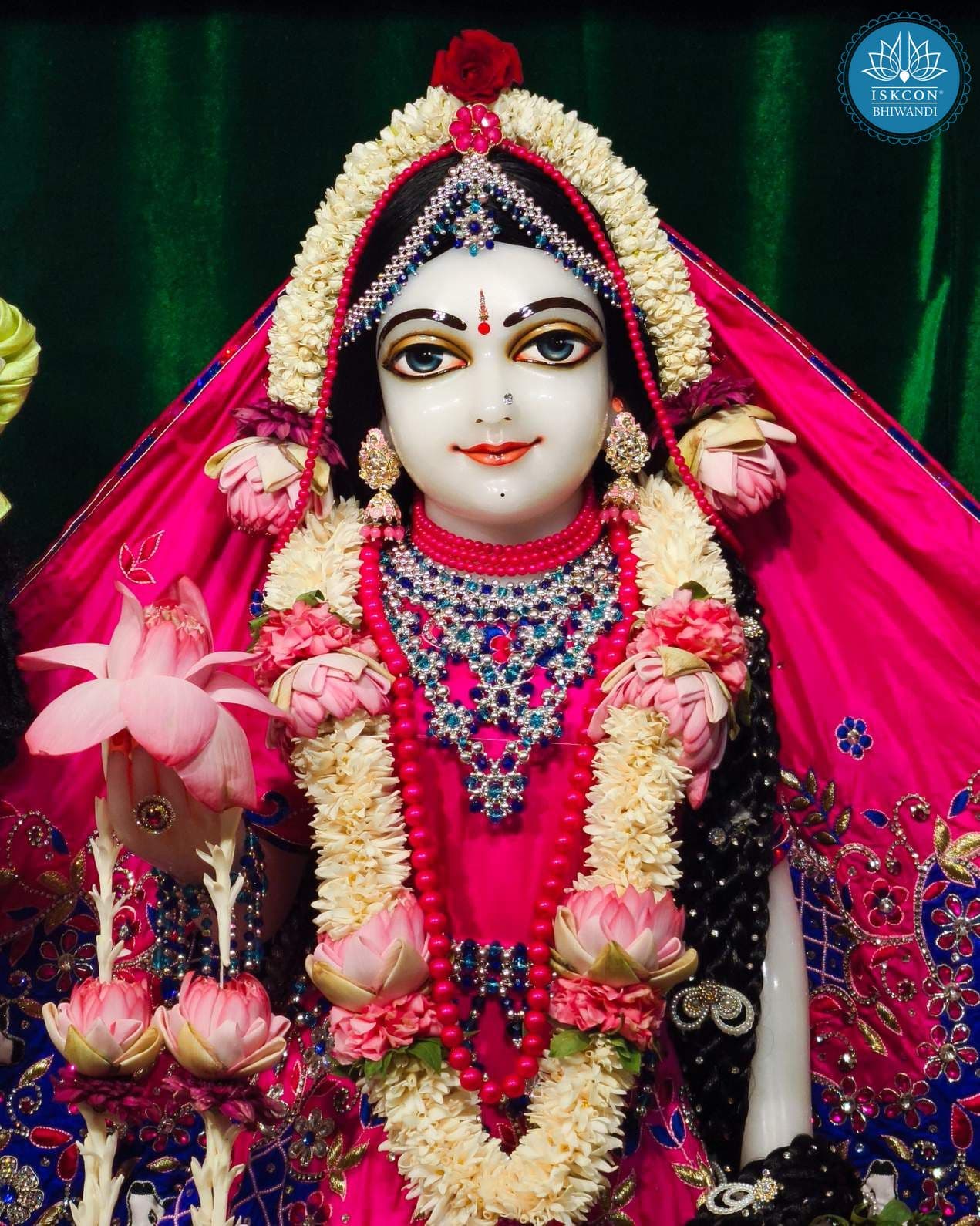 Sringar Darshan photo 5 of 9 — 20 June 2025