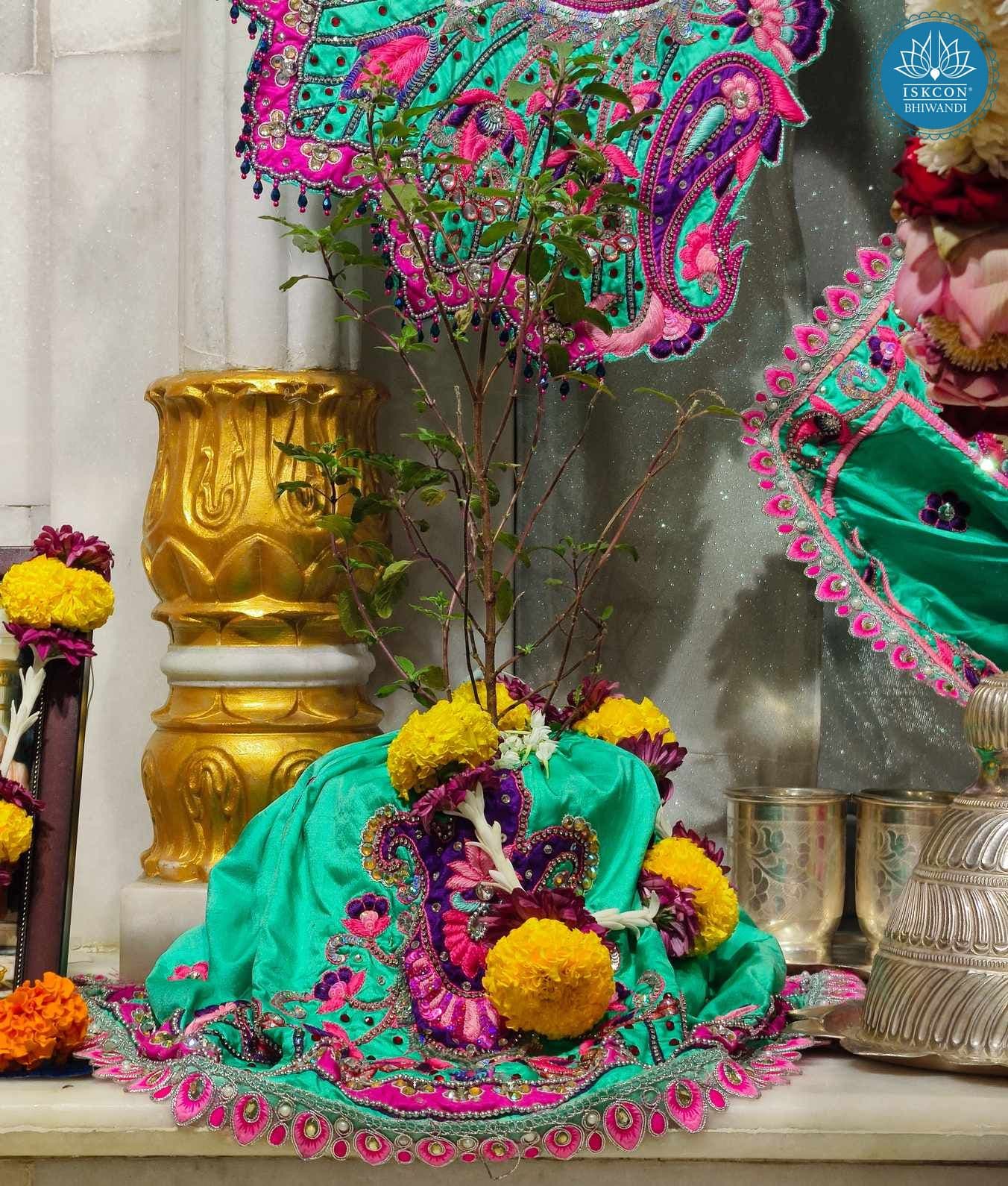 Sringar Darshan photo 9 of 9 — 25 June 2025