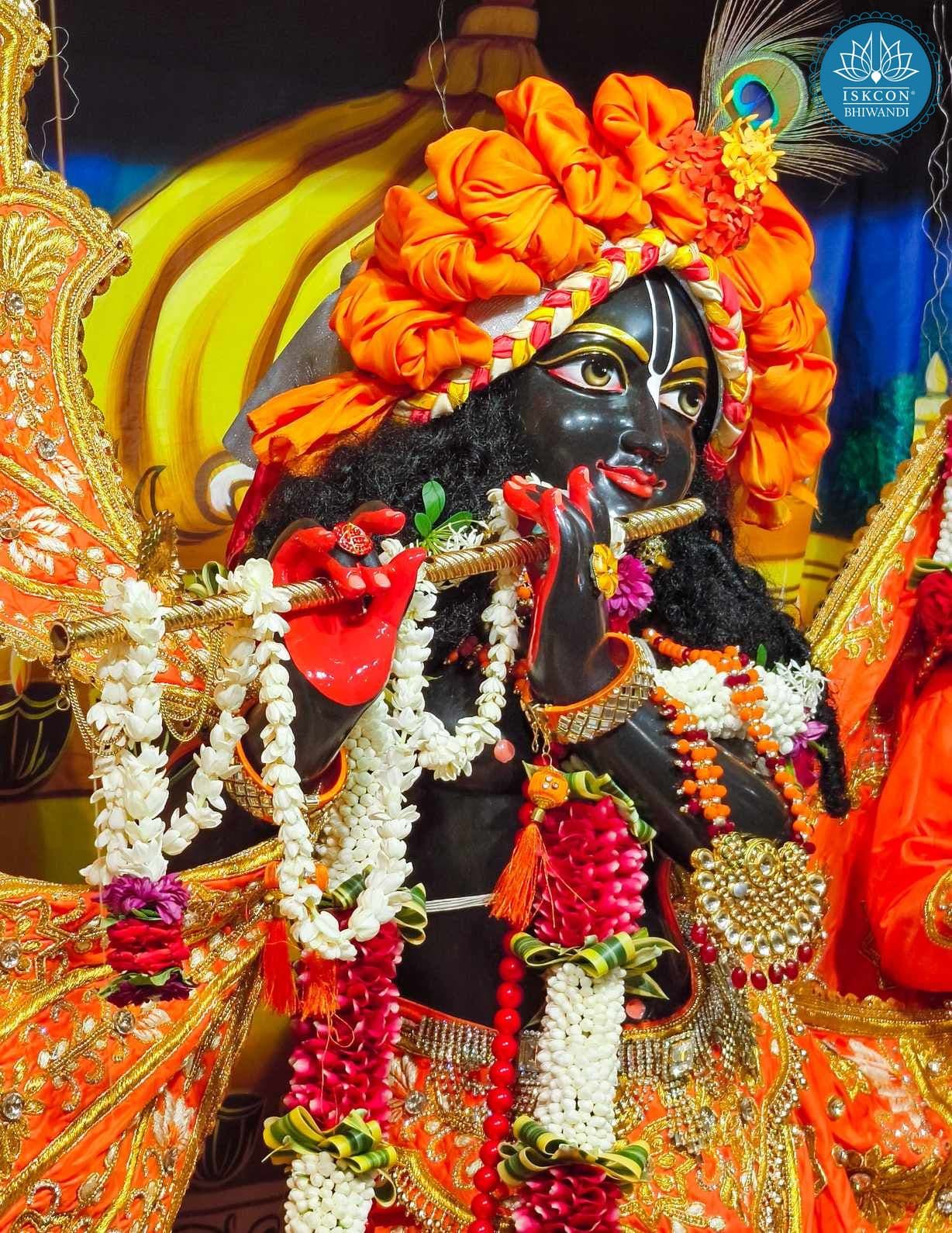 Sringar Darshan photo 11 of 12 — 3 August 2025