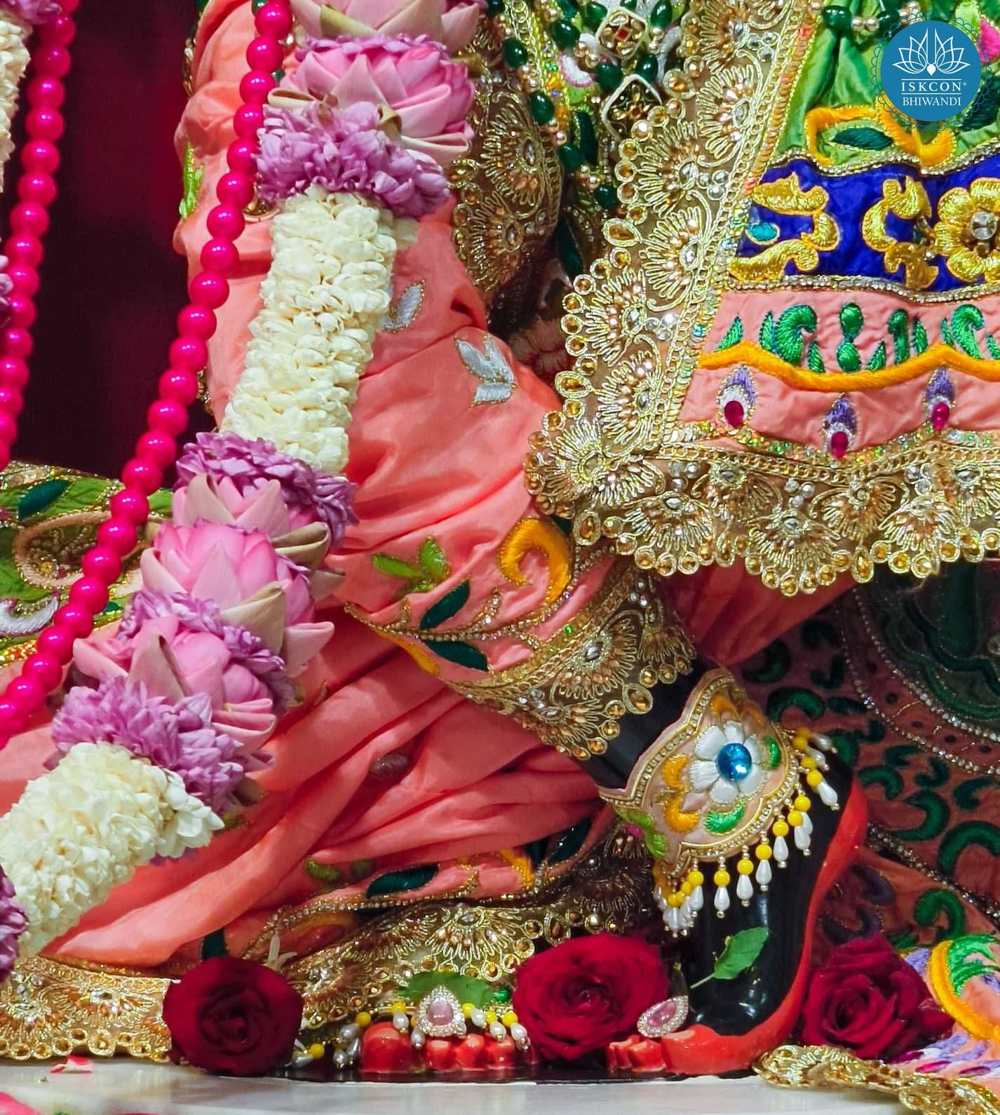 Sringar Darshan photo 3 of 12 — 24 September 2025
