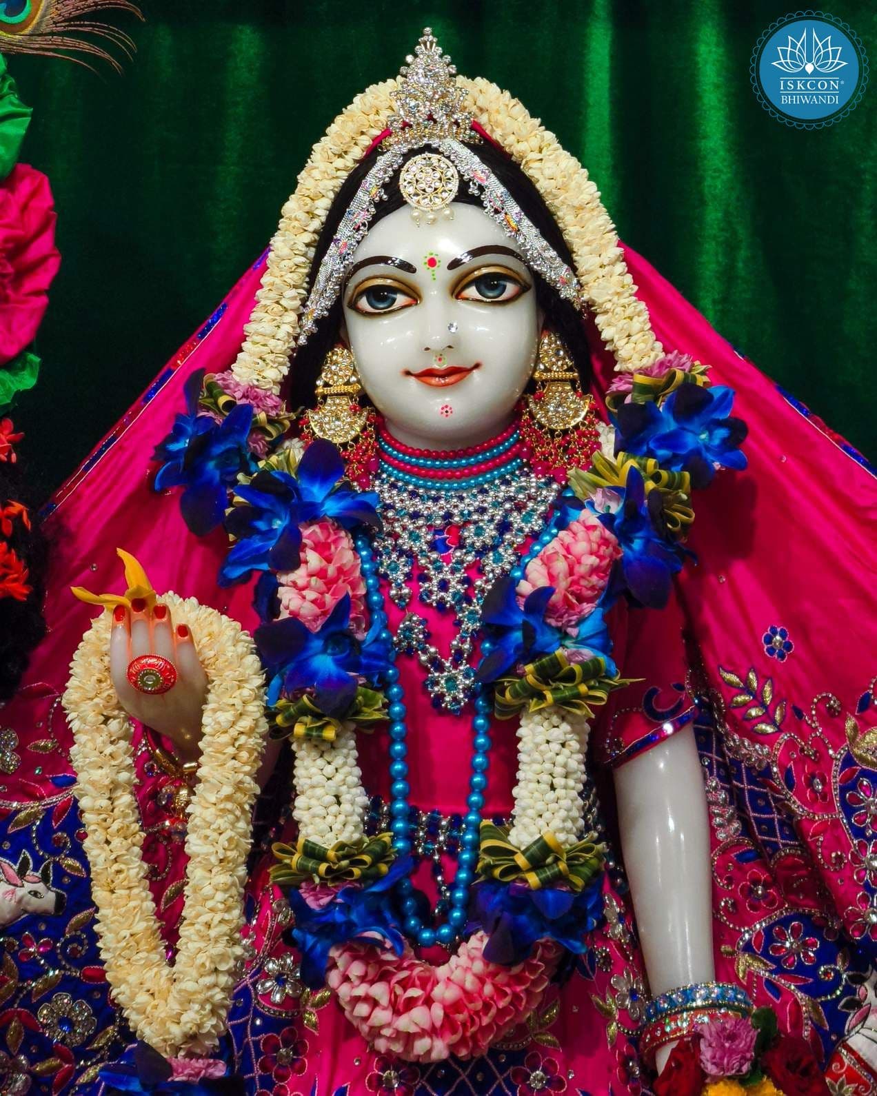 Sringar Darshan photo 12 of 12 — 10 October 2025
