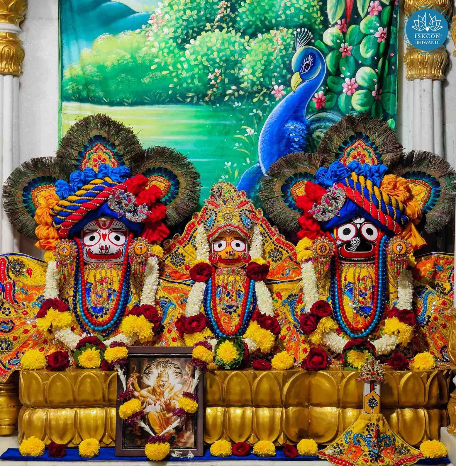 Sringar Darshan photo 3 of 12 — 16 October 2025