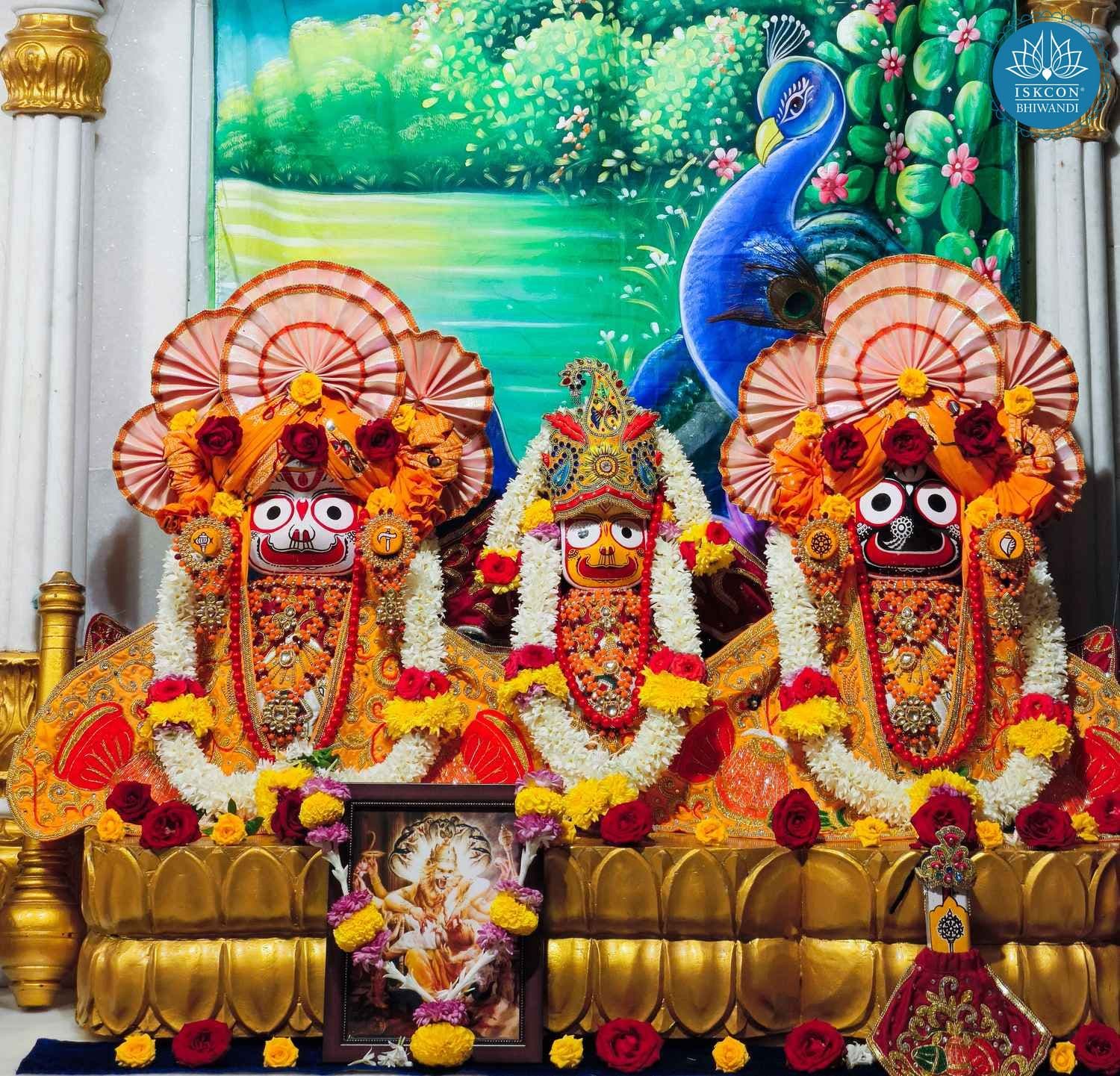 Sringar Darshan photo 2 of 12 — 28 October 2025