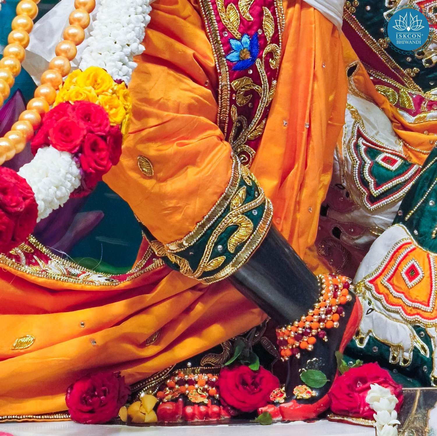 Sringar Darshan photo 8 of 12 — 28 October 2025