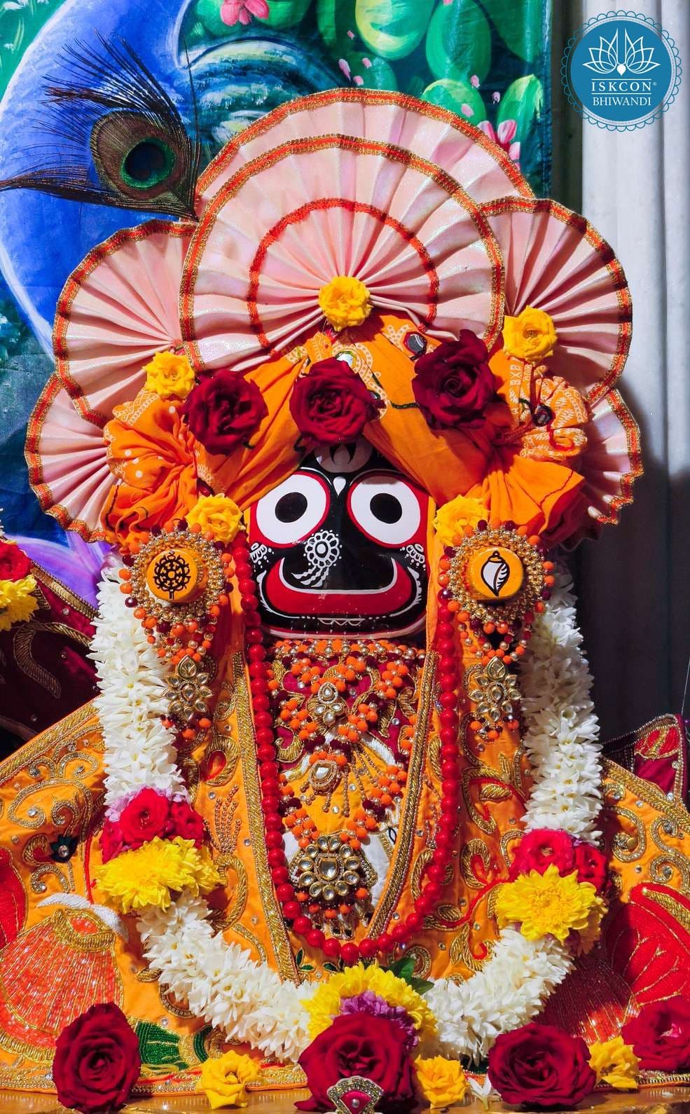Sringar Darshan photo 5 of 12 — 28 October 2025