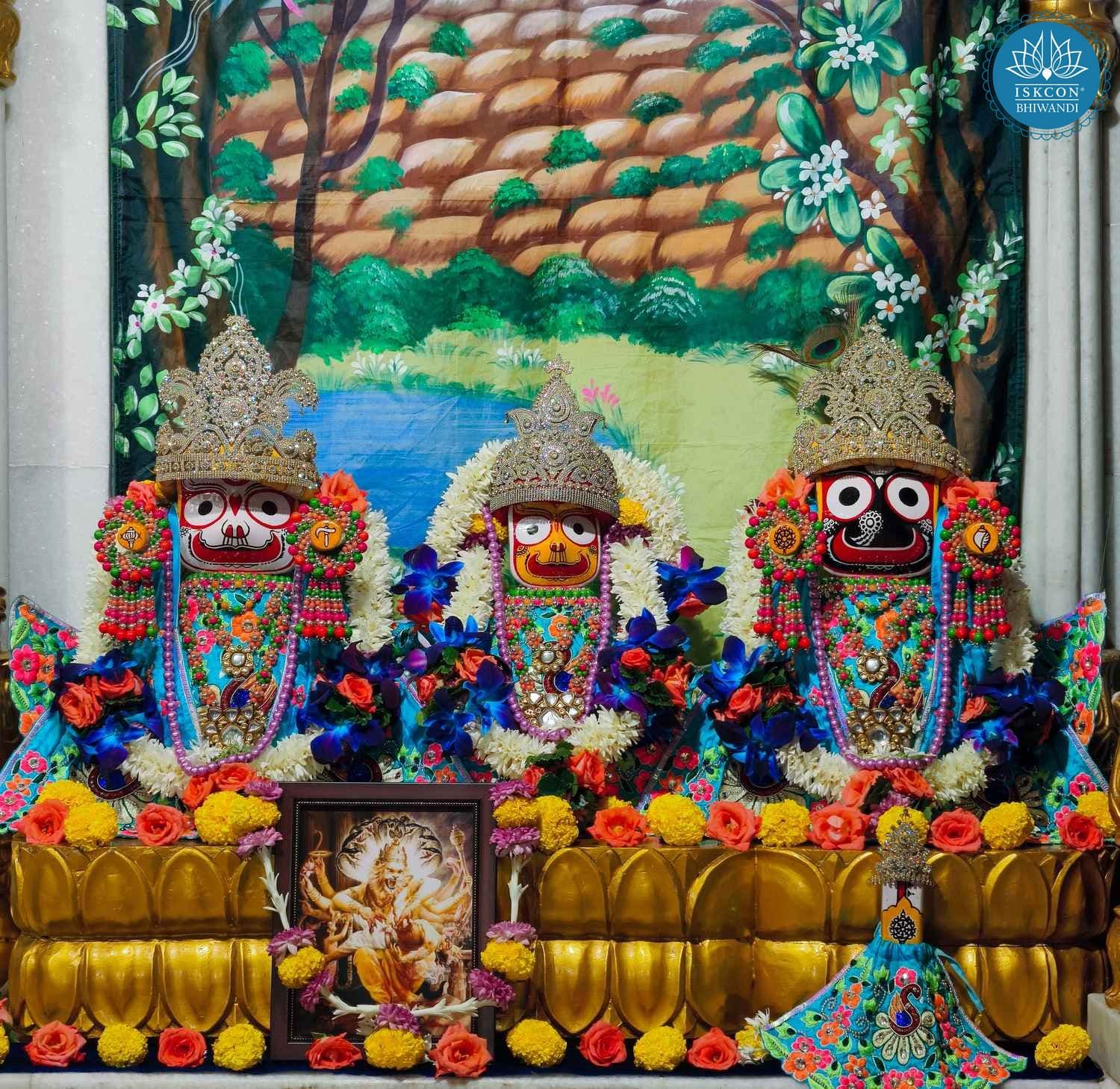 Sringar Darshan photo 3 of 12 — 31 October 2025
