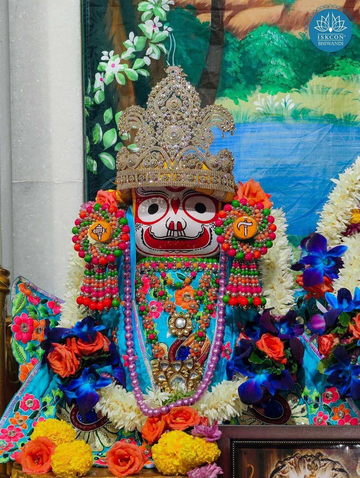 Sringar Darshan photo 8 of 12 — 31 October 2025
