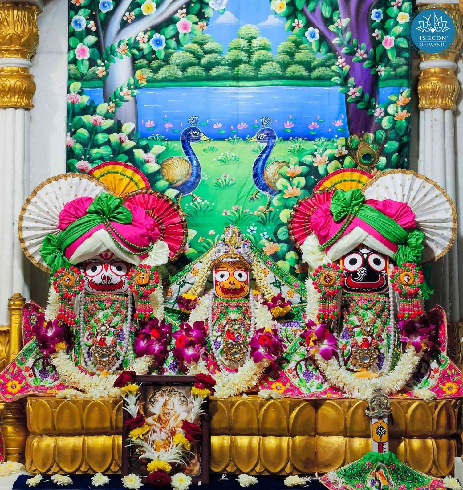 Sringar Darshan photo 2 of 12 — 3 November 2025