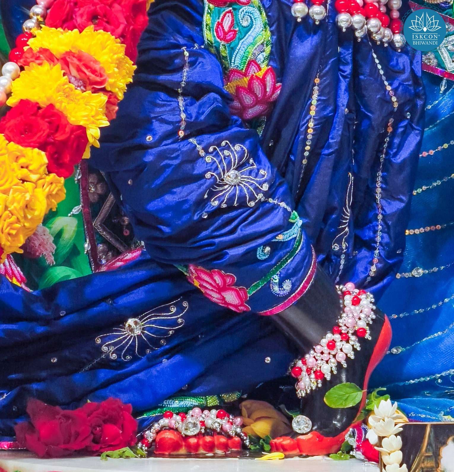 Sringar Darshan photo 12 of 12 — 4 November 2025