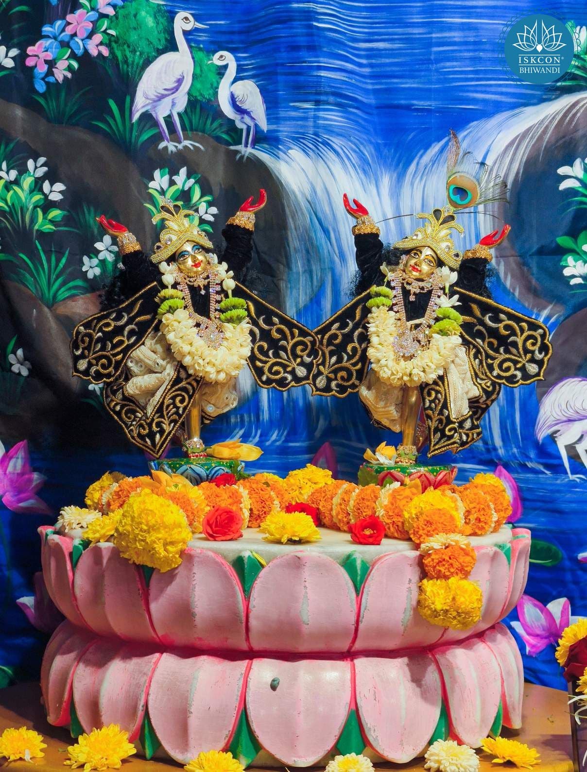 Sringar Darshan photo 12 of 12 — 5 November 2025