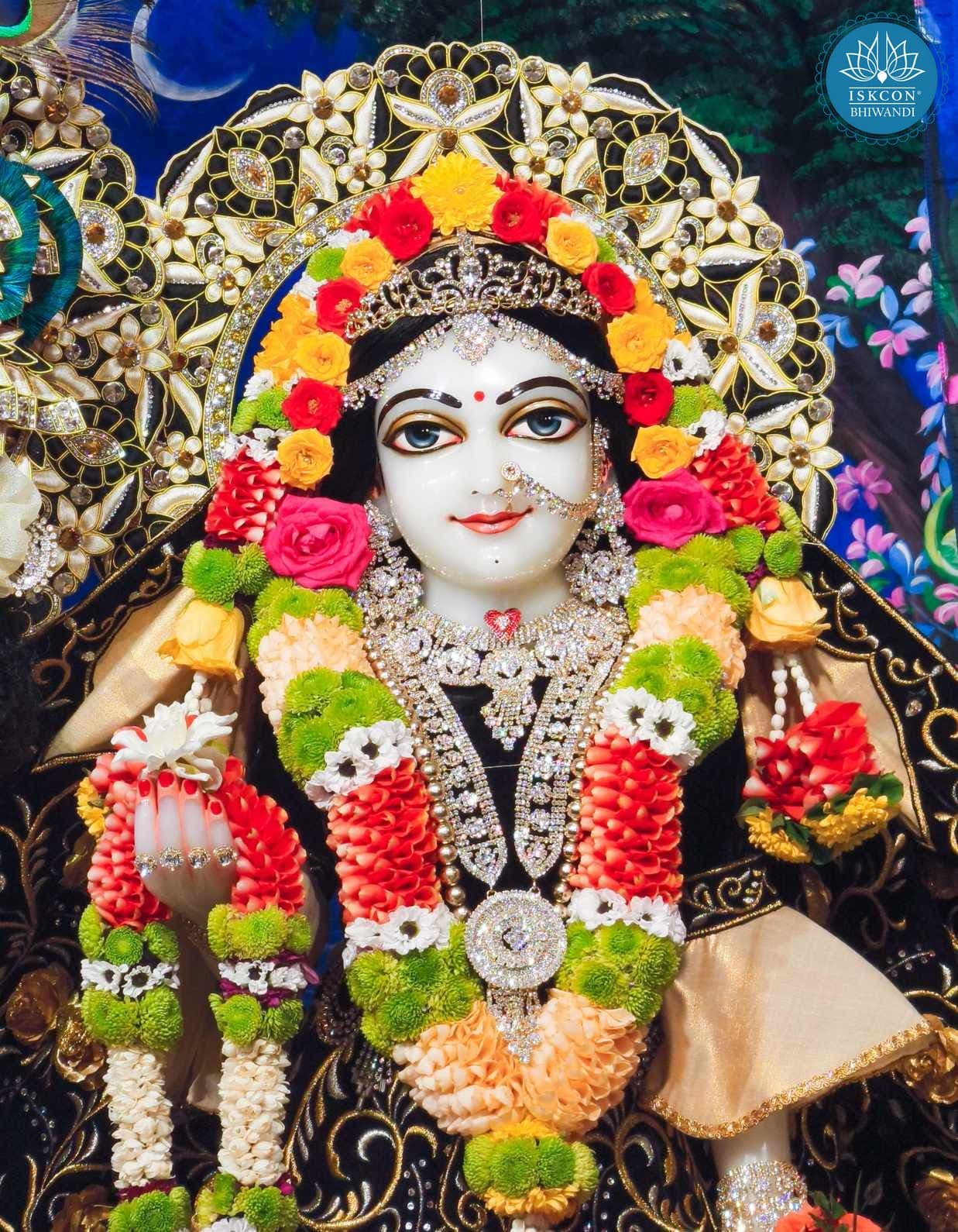 Sringar Darshan photo 3 of 12 — 5 November 2025