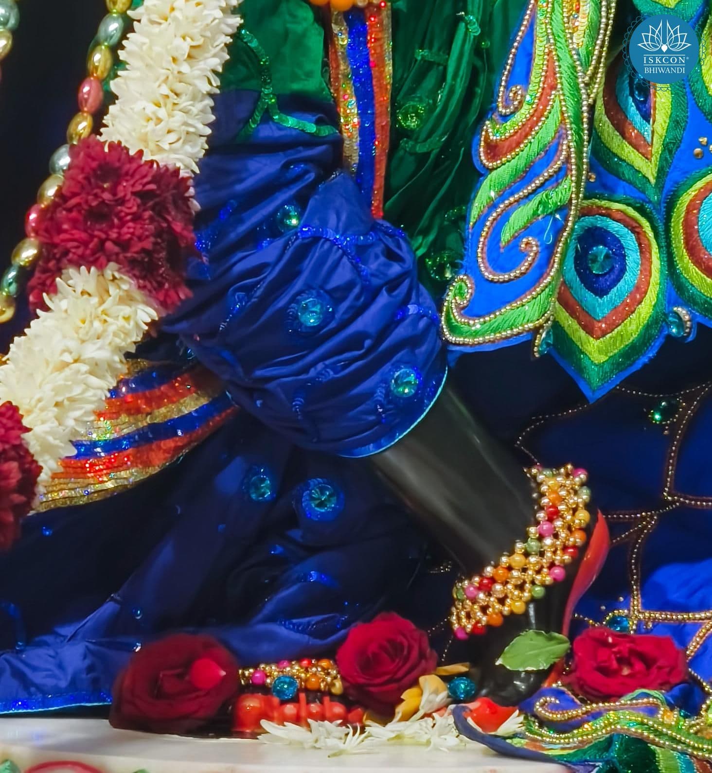 Sringar Darshan photo 3 of 12 — 8 November 2025