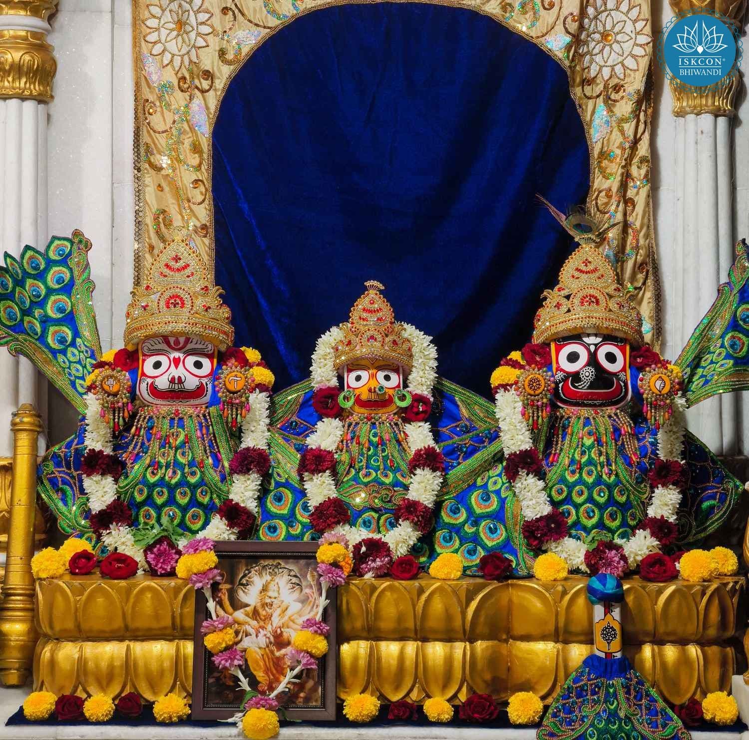 Sringar Darshan photo 4 of 12 — 8 November 2025