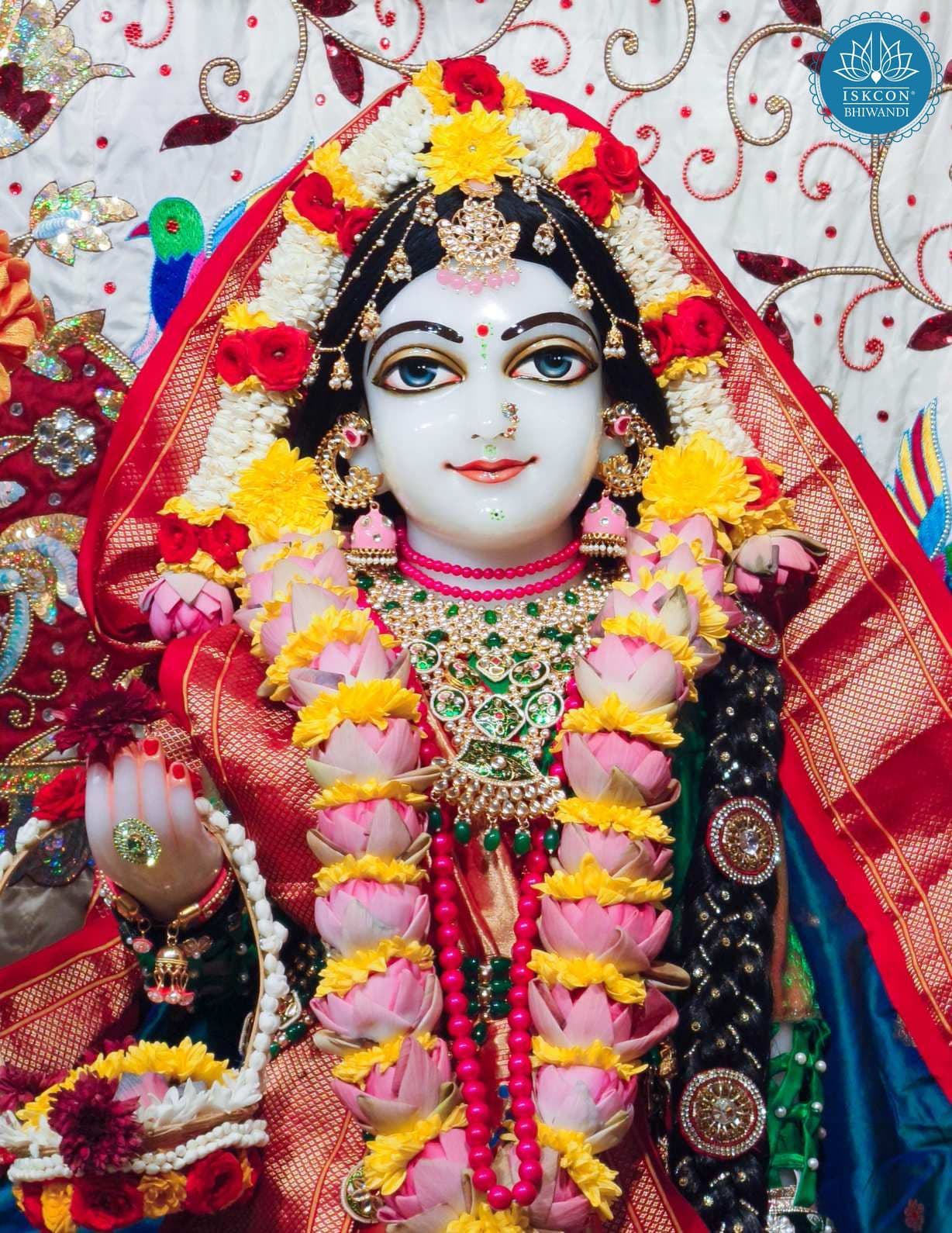 Sringar Darshan photo 10 of 12 — 9 November 2025