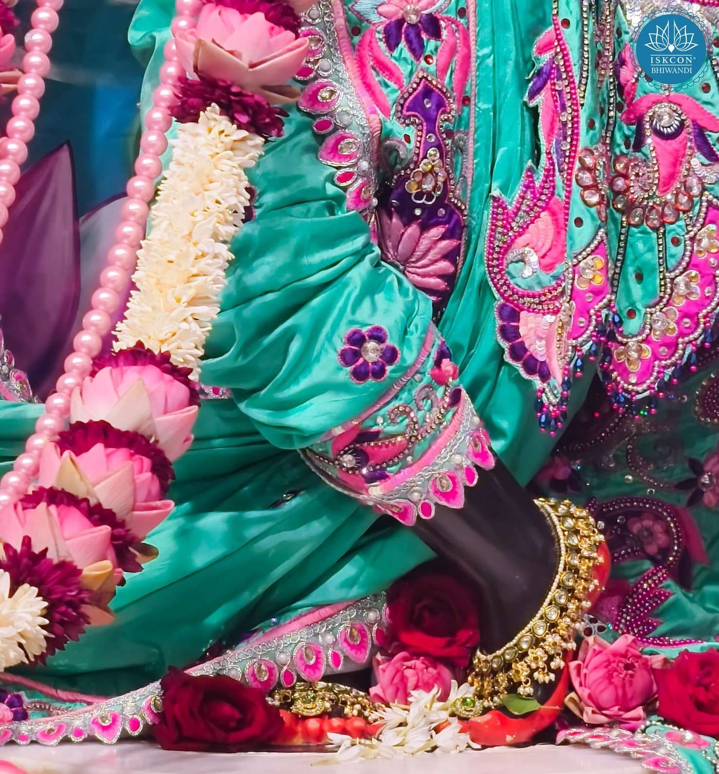 Sringar Darshan photo 3 of 12 — 12 November 2025