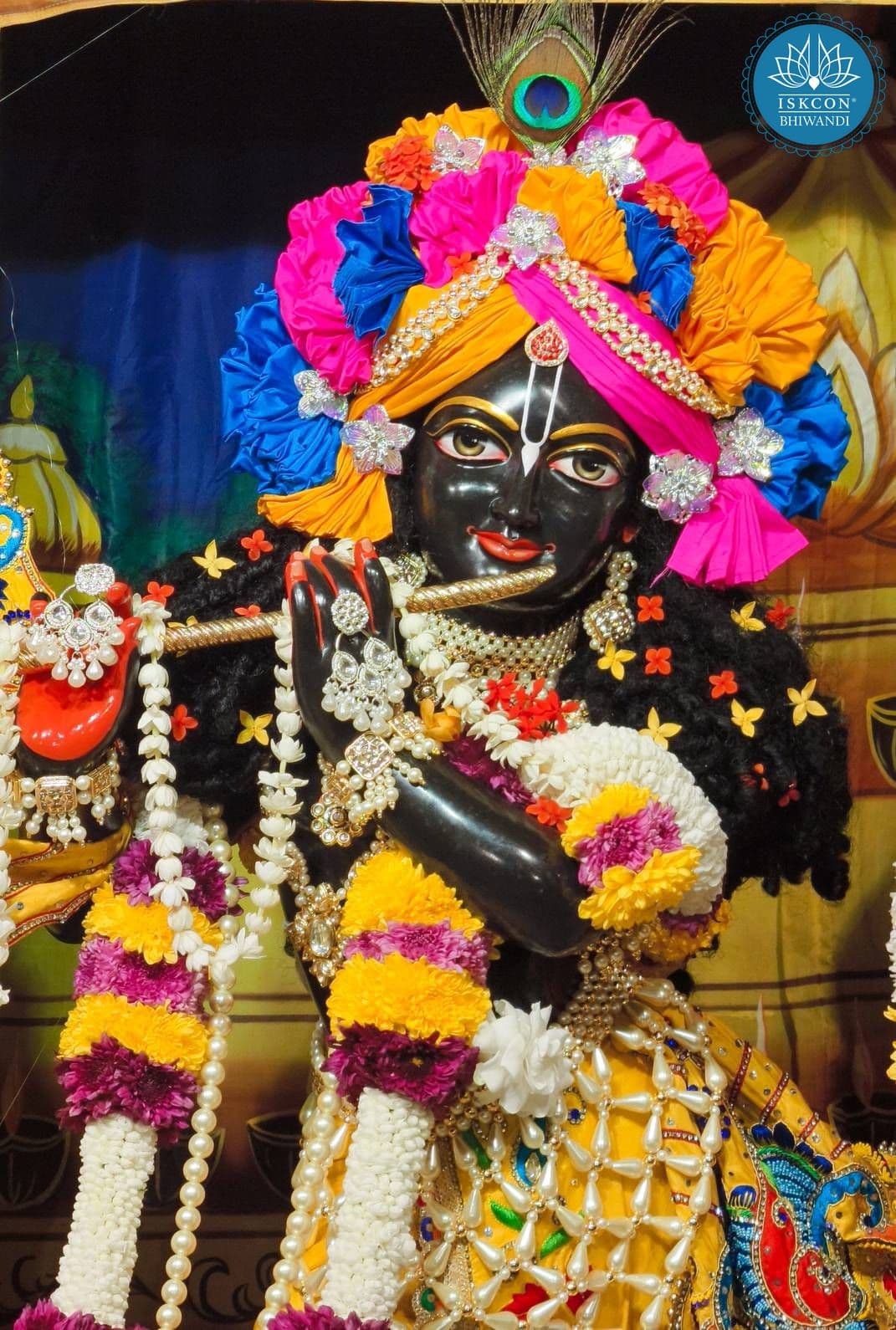 Sringar Darshan photo 11 of 12 — 13 November 2025