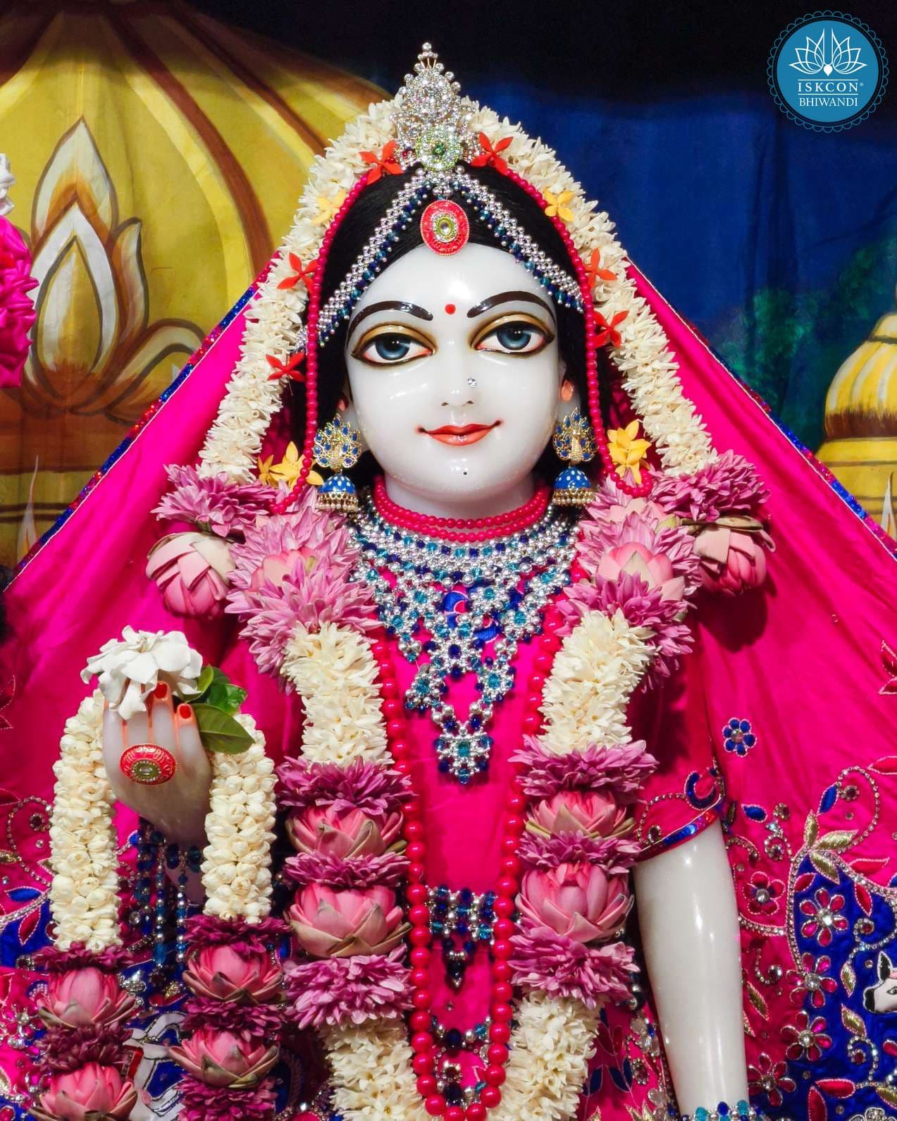 Sringar Darshan photo 11 of 12 — 14 November 2025