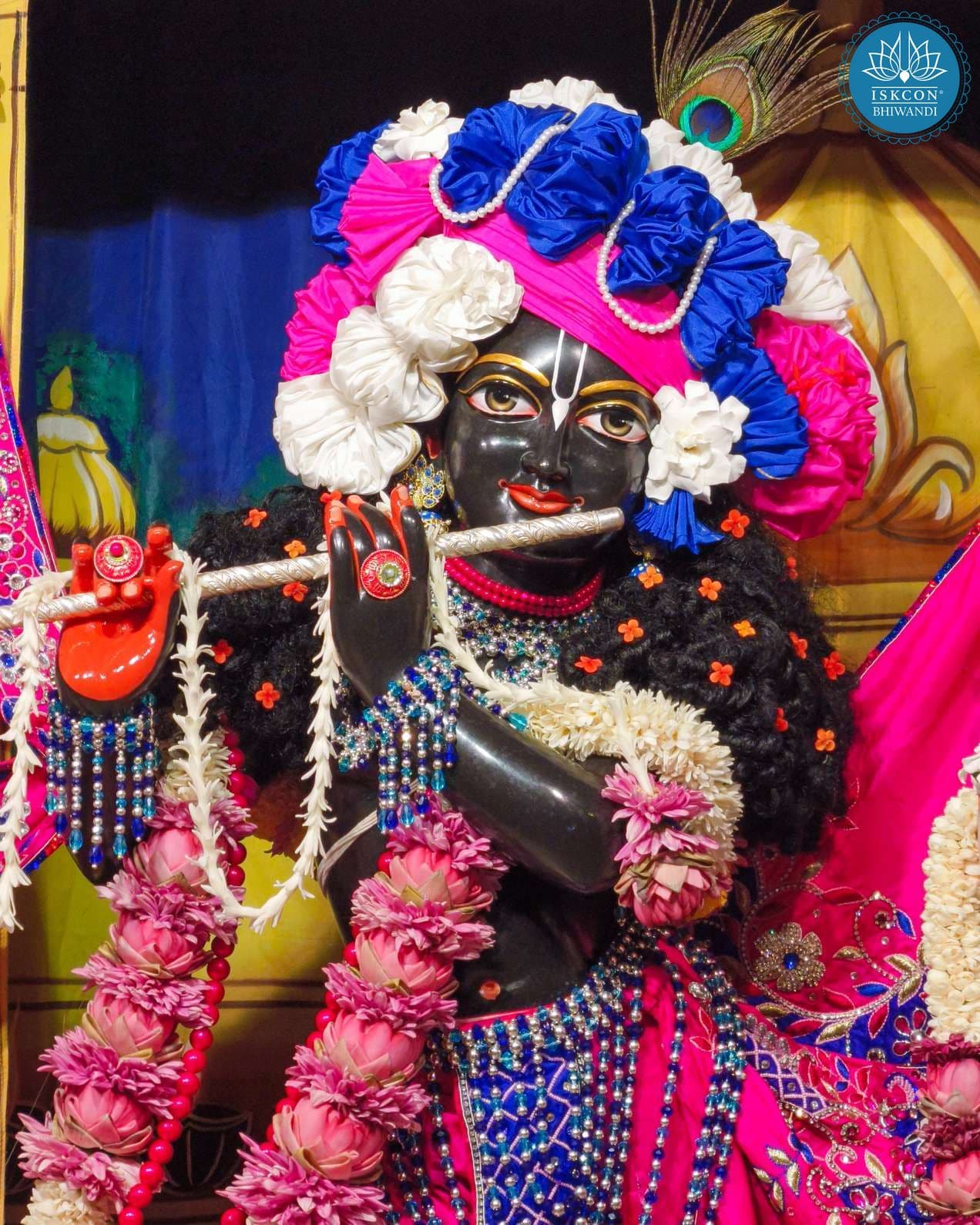 Sringar Darshan photo 12 of 12 — 14 November 2025