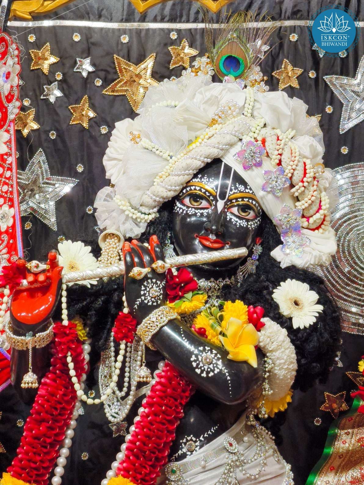 Sringar Darshan photo 12 of 12 — 15 November 2025