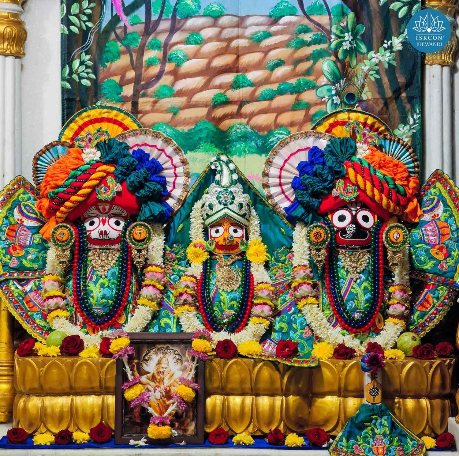 Sringar Darshan photo 2 of 12 — 19 November 2025
