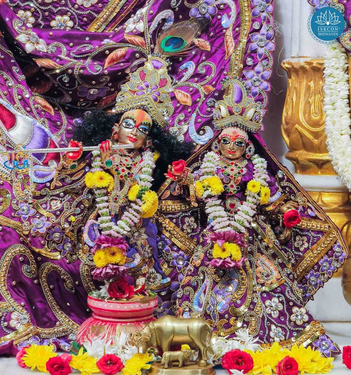 Sringar Darshan photo 9 of 12 — 10 May 2026