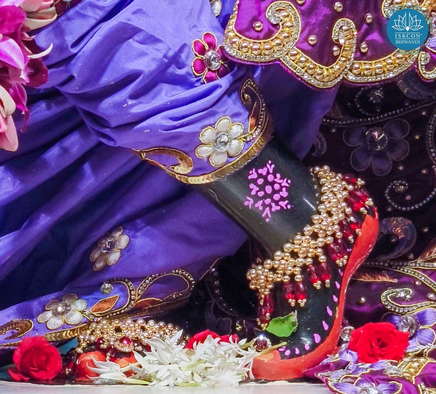 Sringar Darshan photo 10 of 12 — 10 May 2026