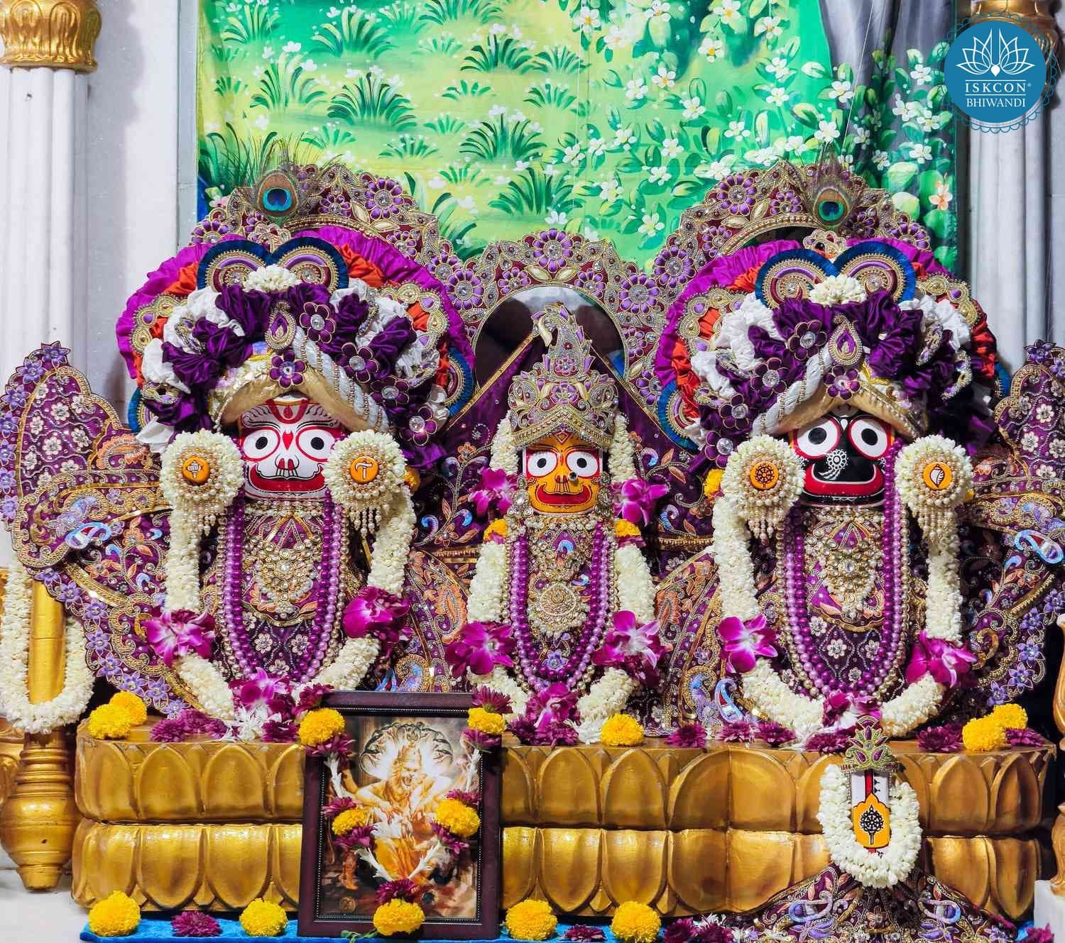 Sringar Darshan photo 2 of 12 — 10 May 2026