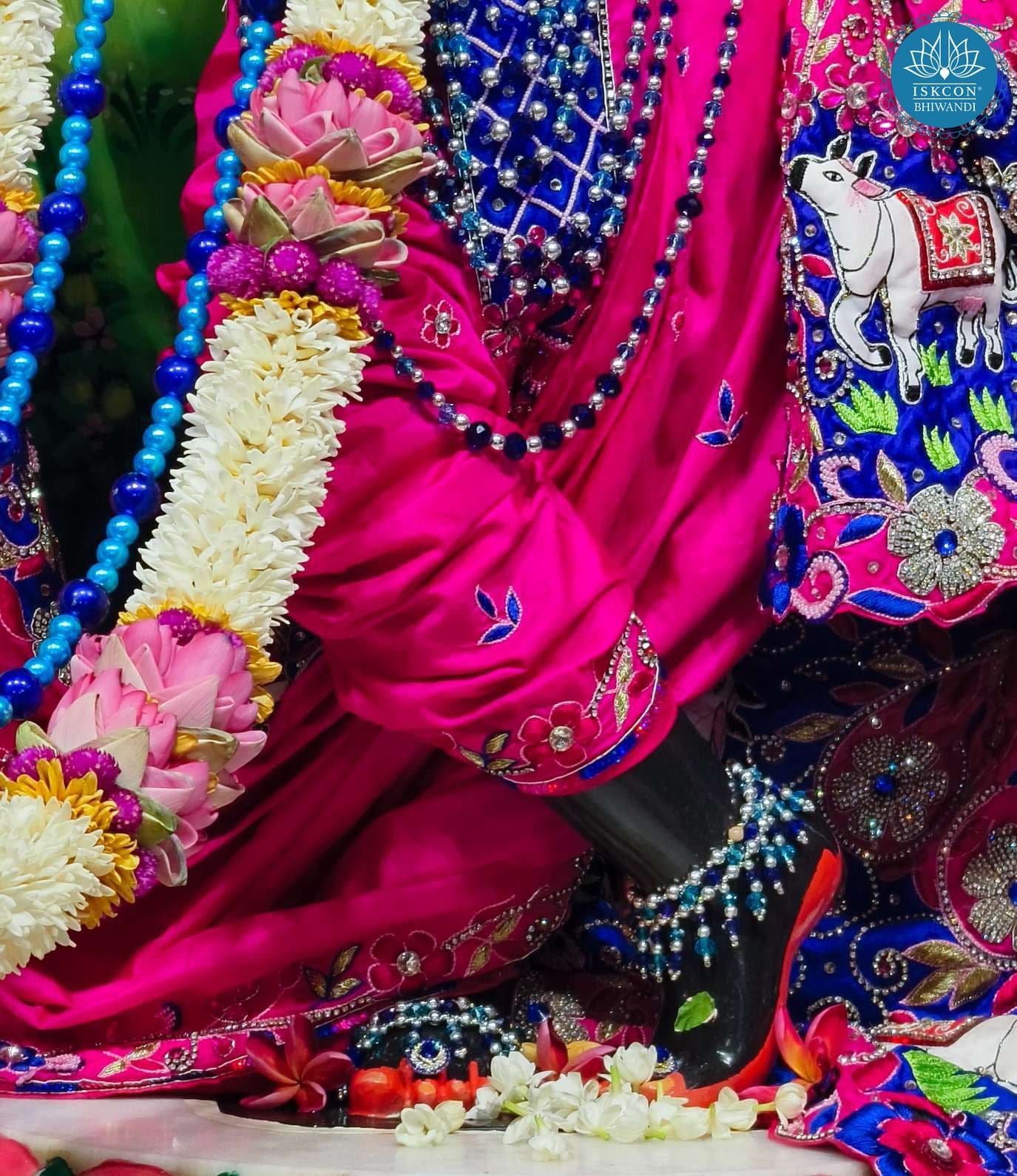 Sringar Darshan photo 3 of 12 — 15 May 2026