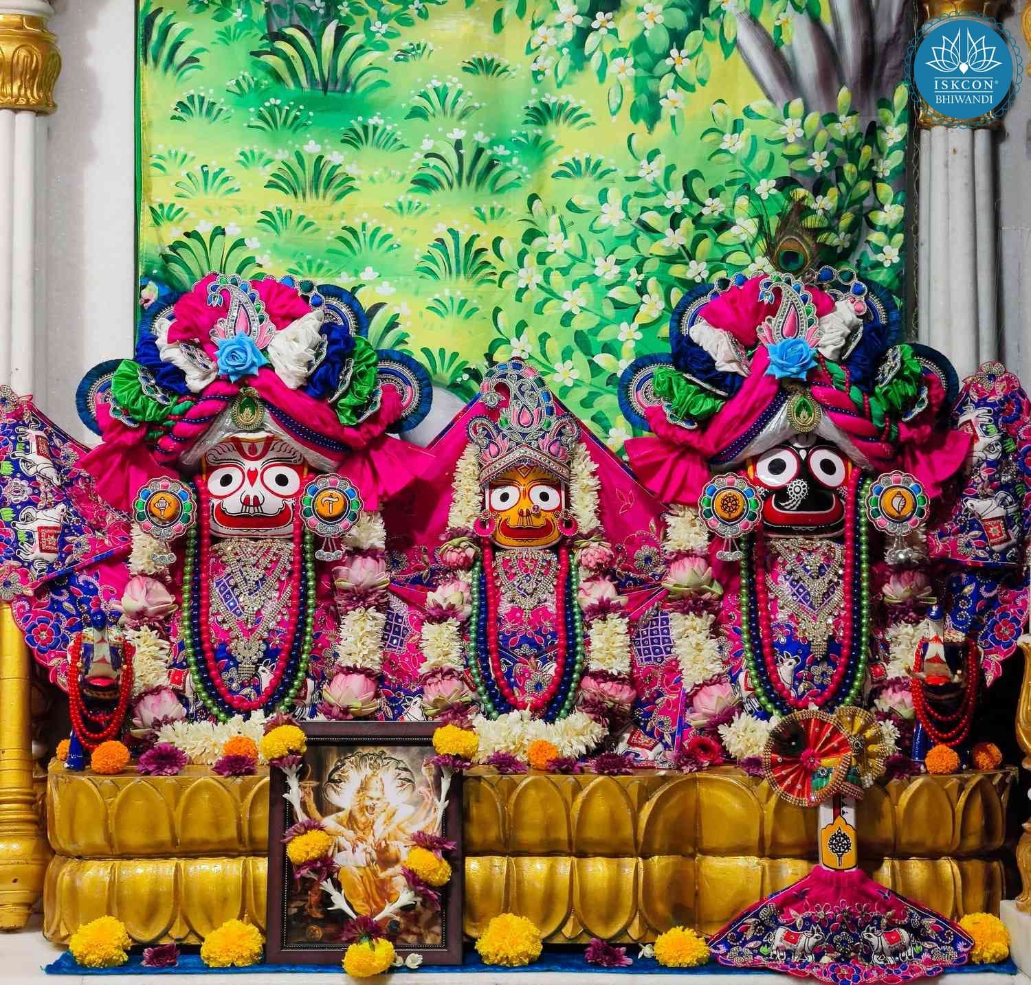Sringar Darshan photo 4 of 12 — 15 May 2026