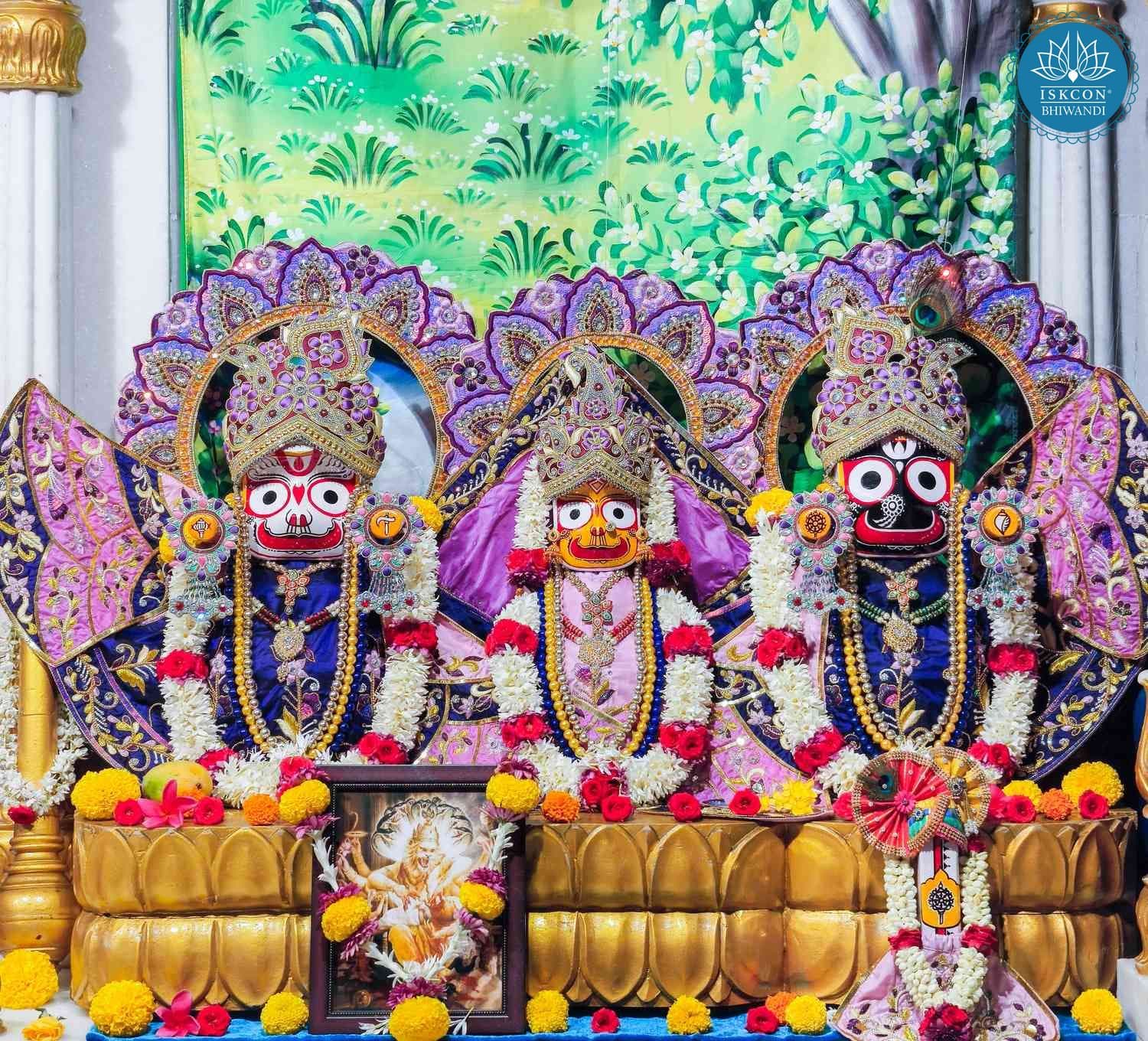 Sringar Darshan photo 2 of 12 — 16 May 2026