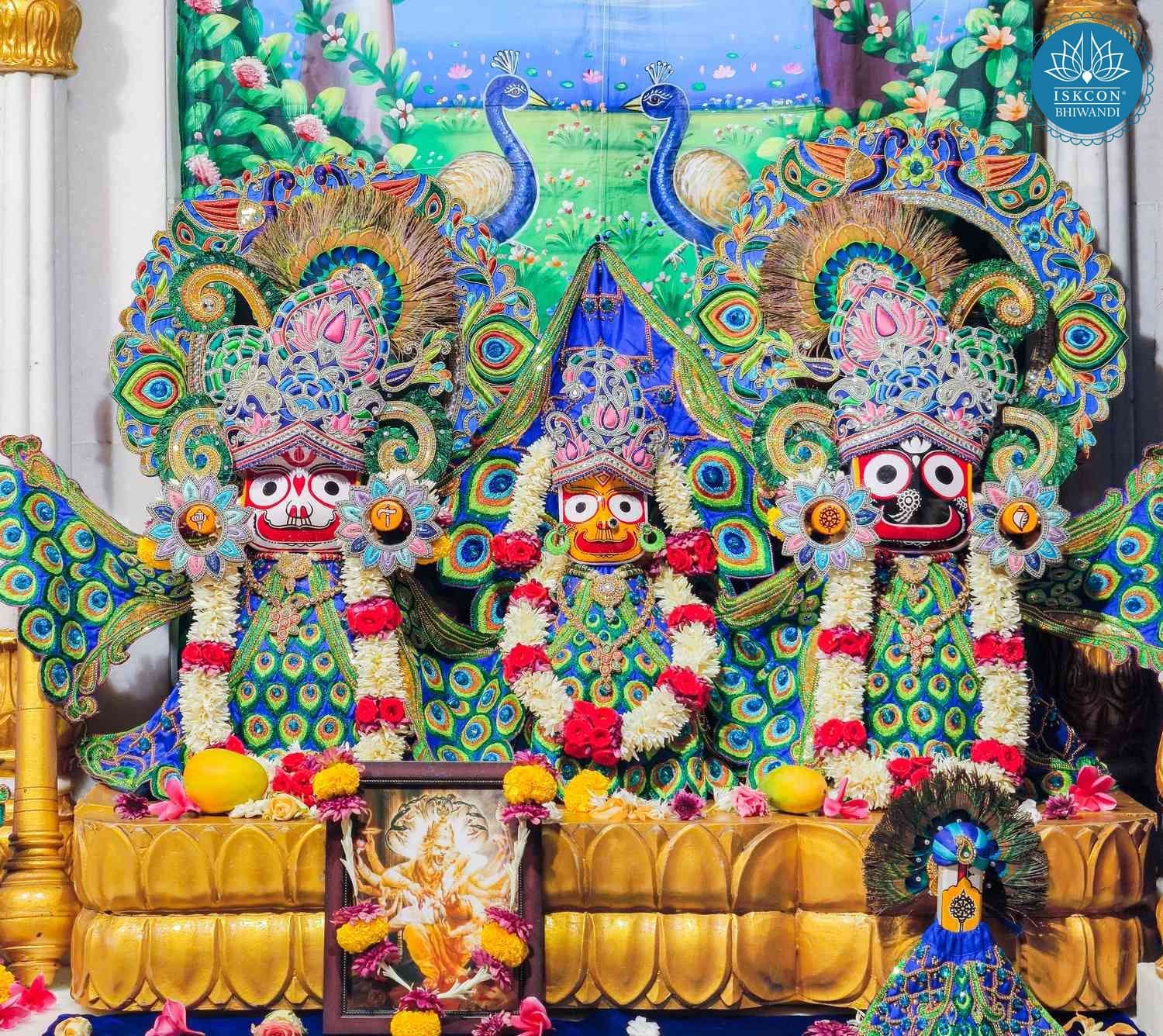 Sringar Darshan photo 2 of 12 — 23 May 2026