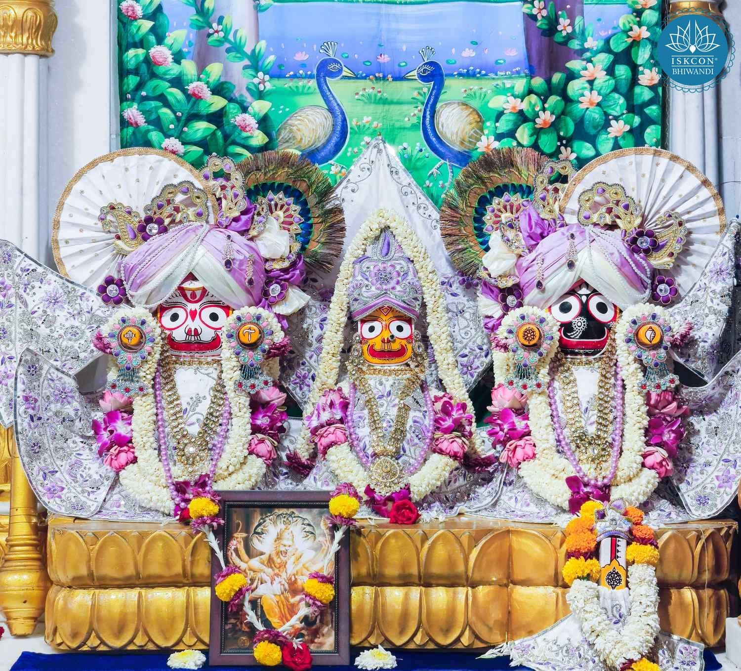 Sringar Darshan photo 3 of 12 — 24 May 2026