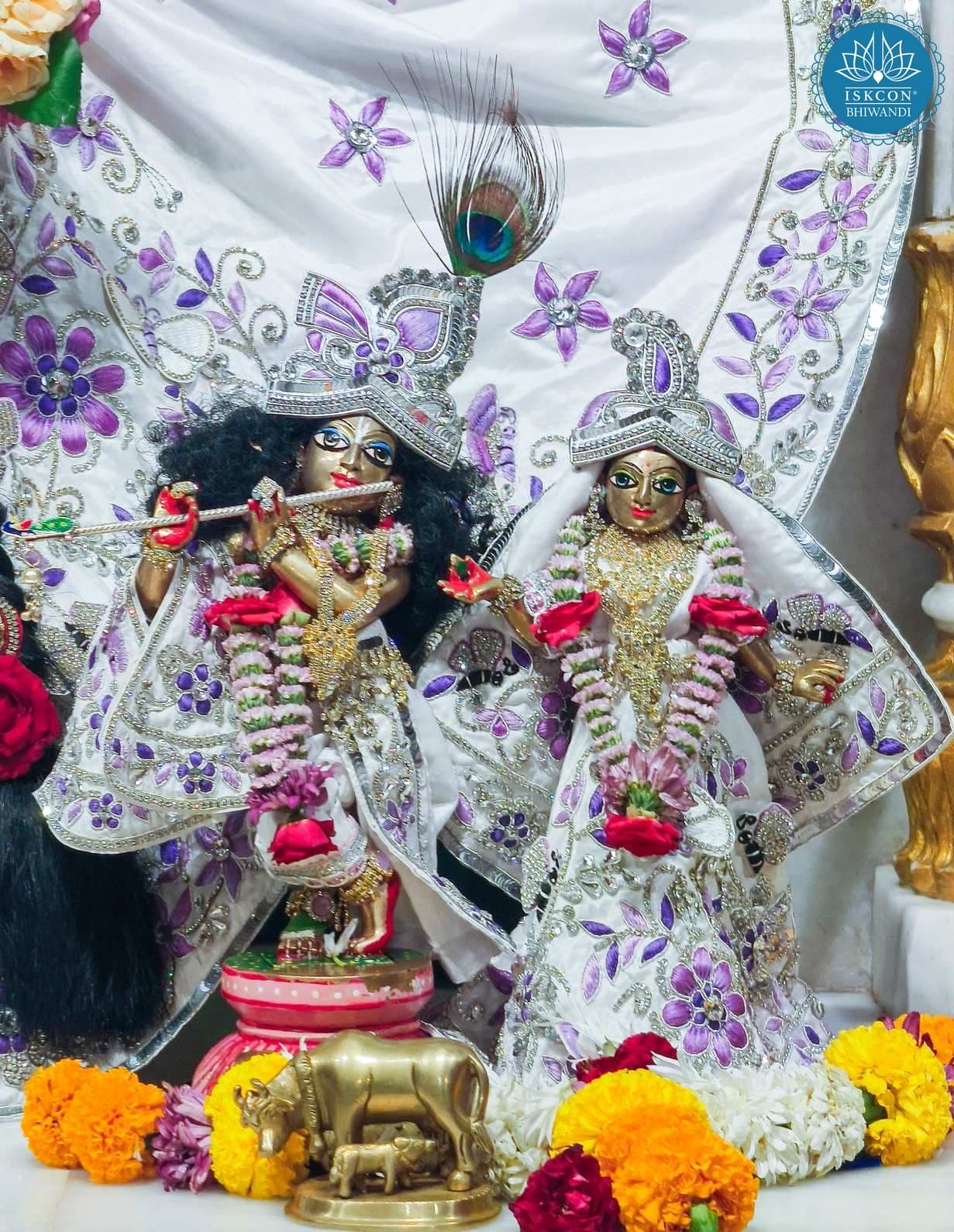 Sringar Darshan photo 10 of 12 — 24 May 2026