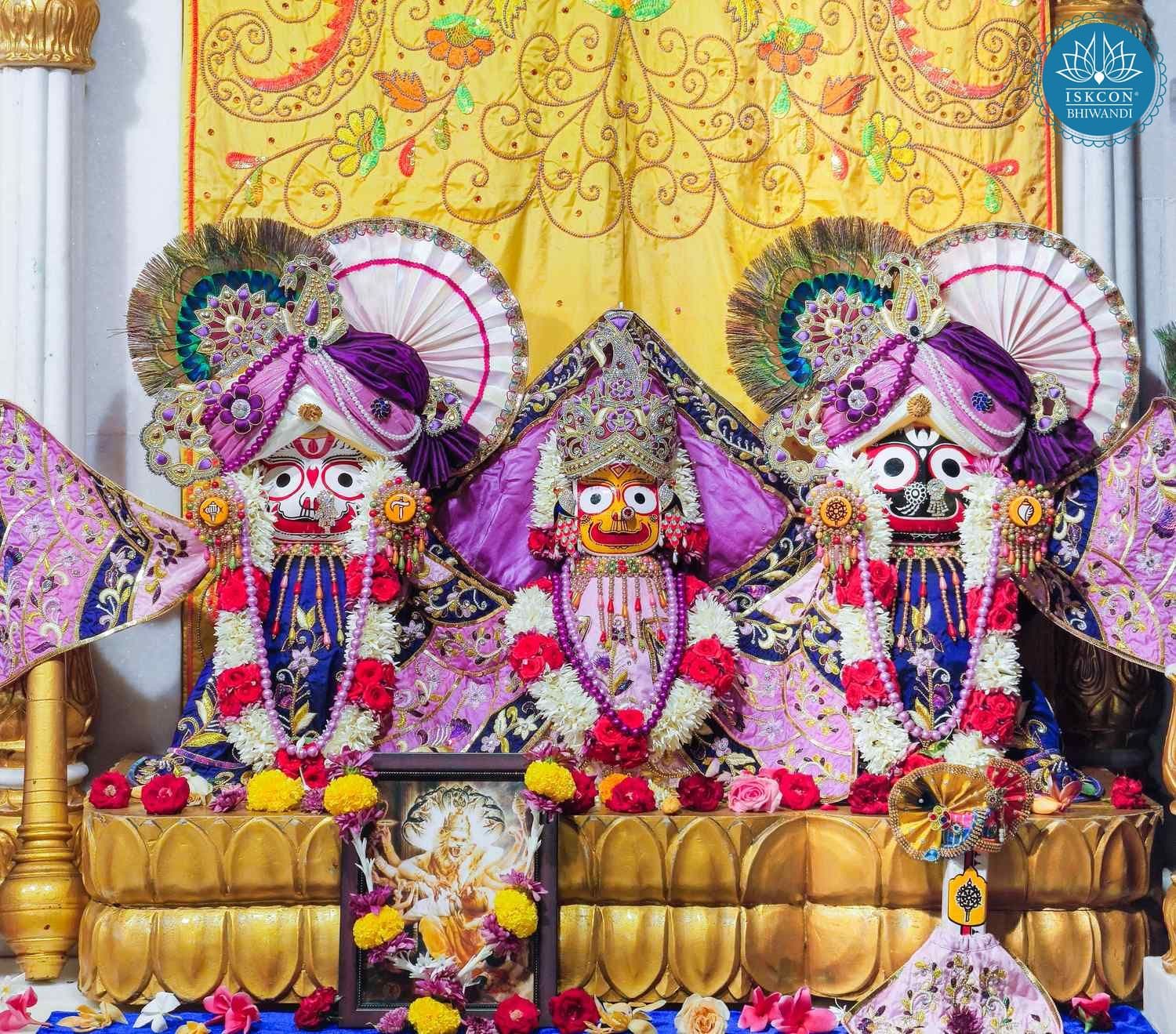 Sringar Darshan photo 3 of 12 — 30 May 2026