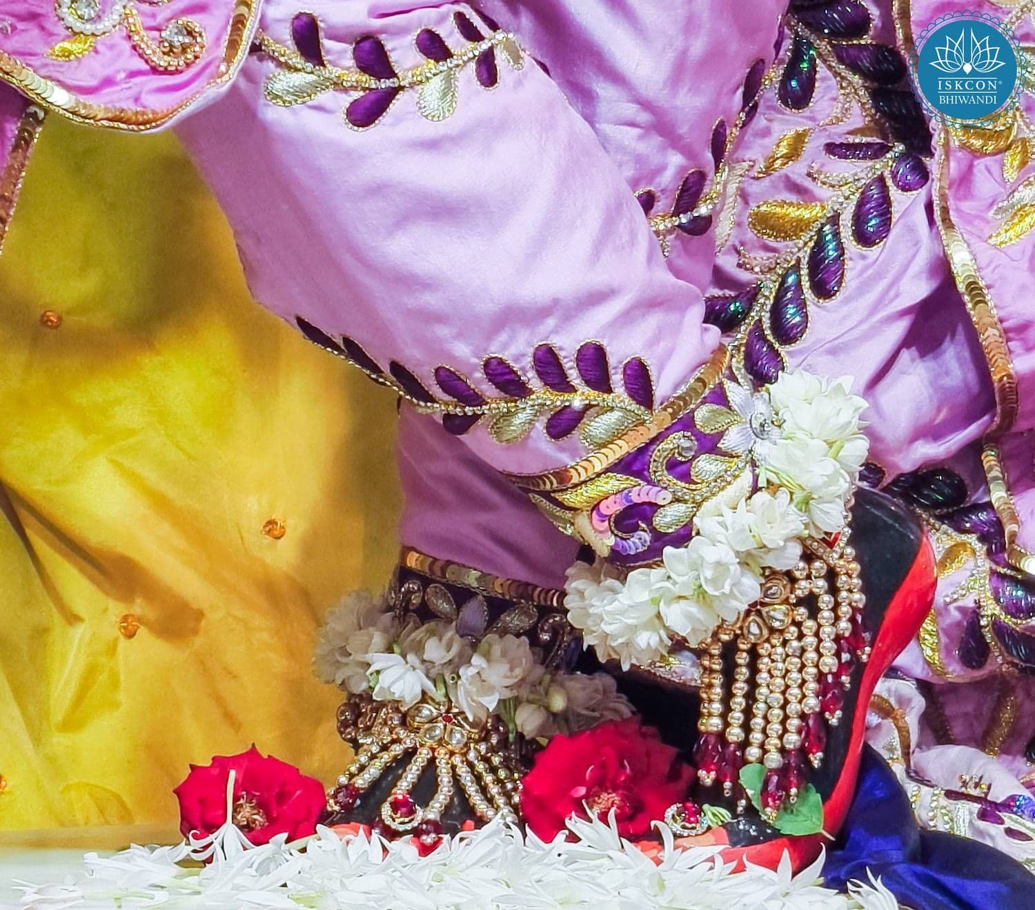 Sringar Darshan photo 9 of 12 — 30 May 2026