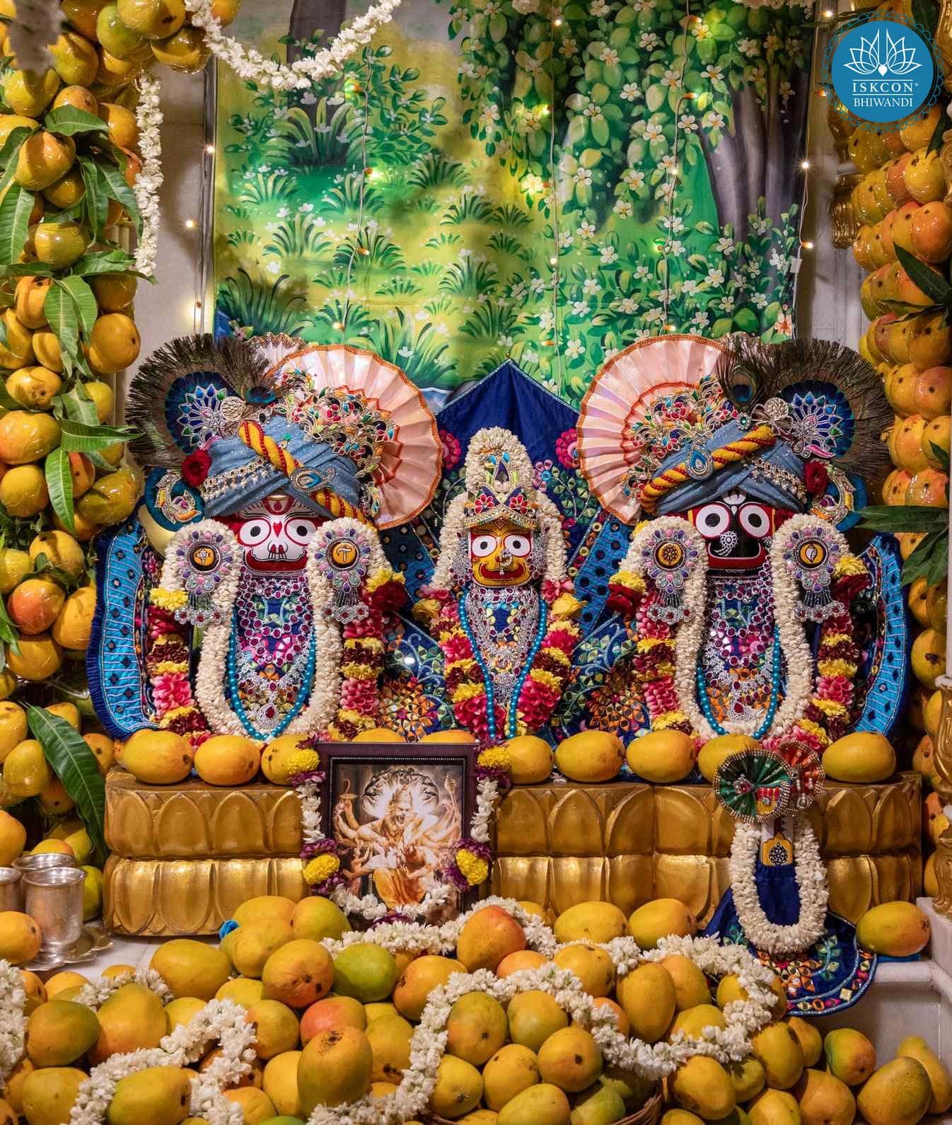 Sringar Darshan photo 9 of 15 — 31 May 2026