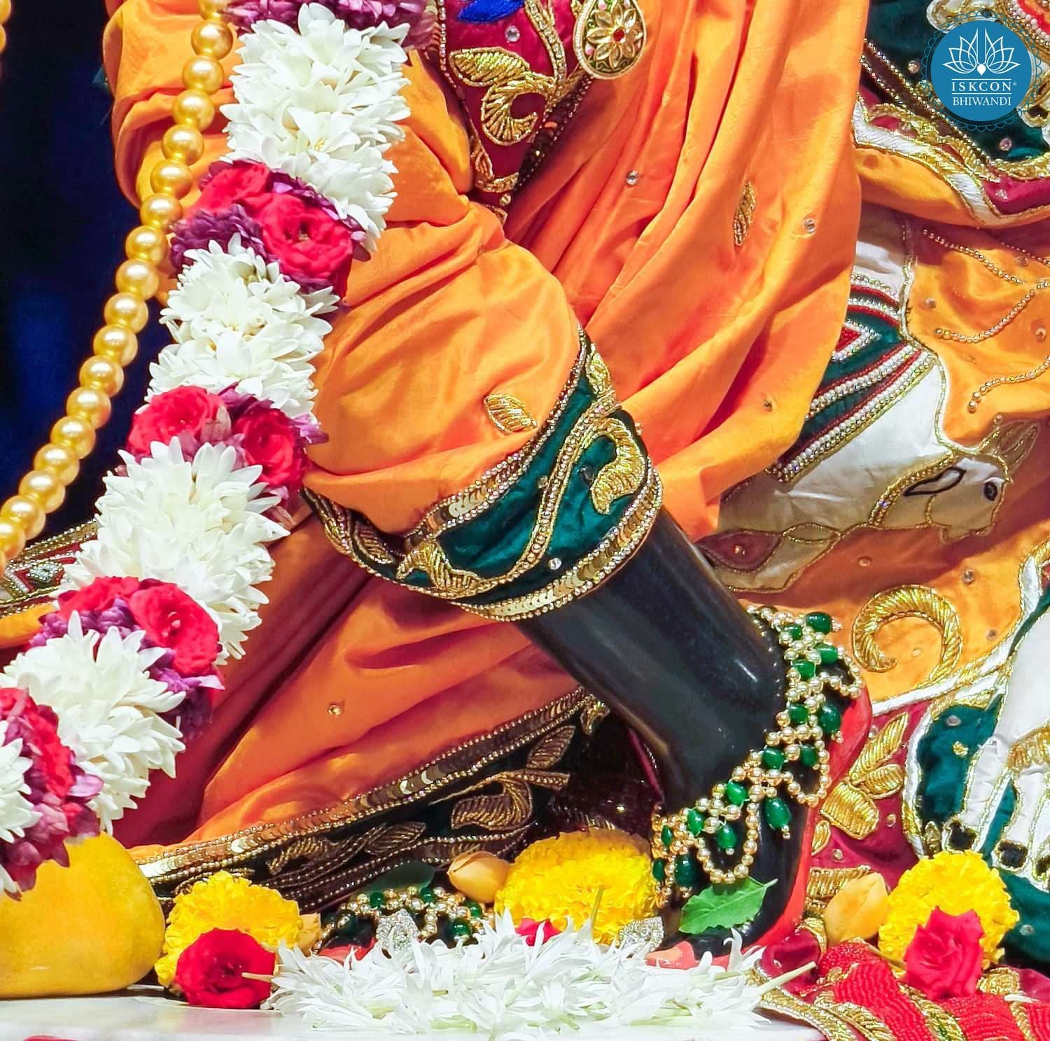 Sringar Darshan photo 6 of 12 — 2 June 2026