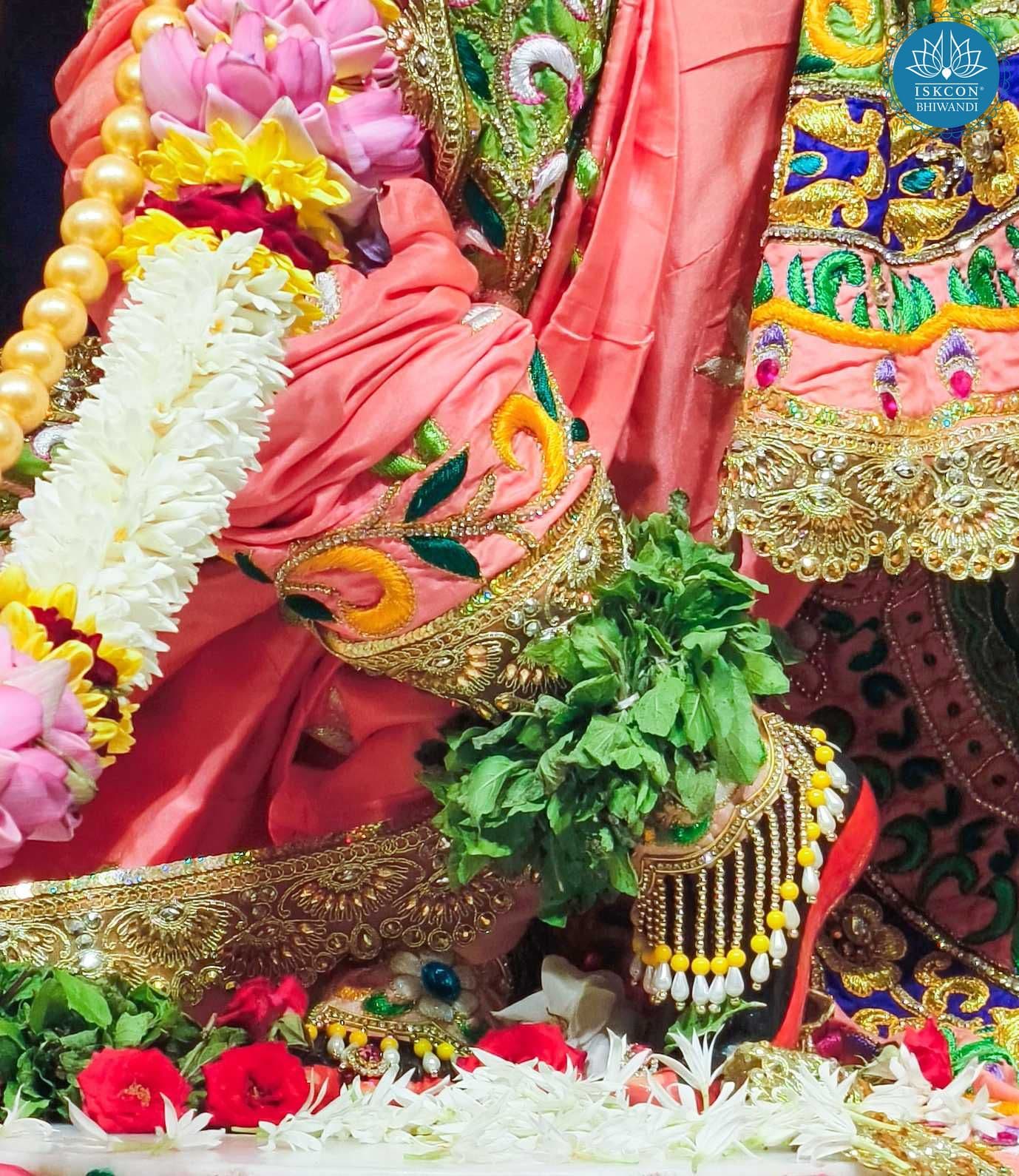 Sringar Darshan photo 7 of 12 — 3 June 2026