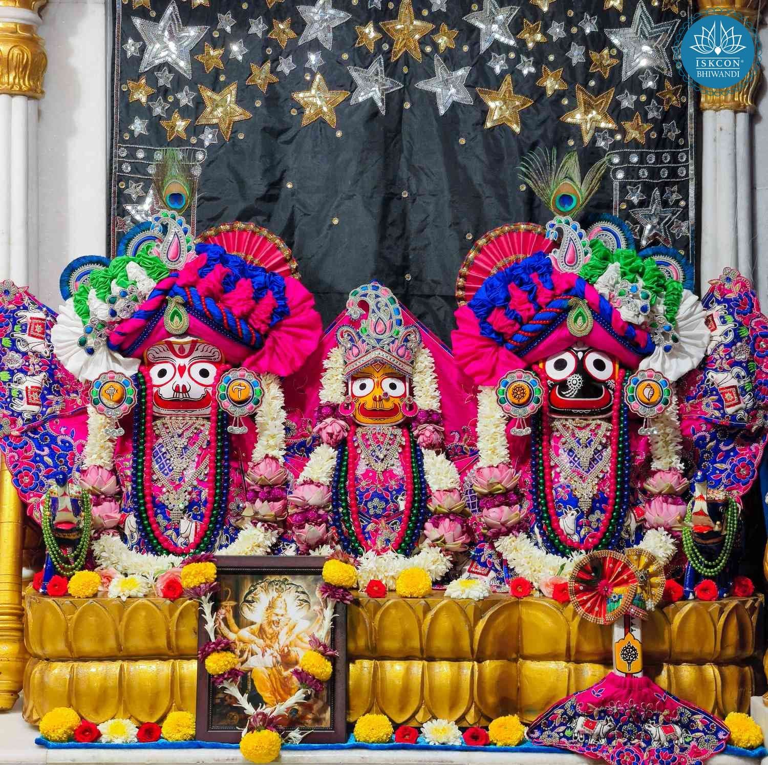 Sringar Darshan photo 3 of 12 — 5 June 2026