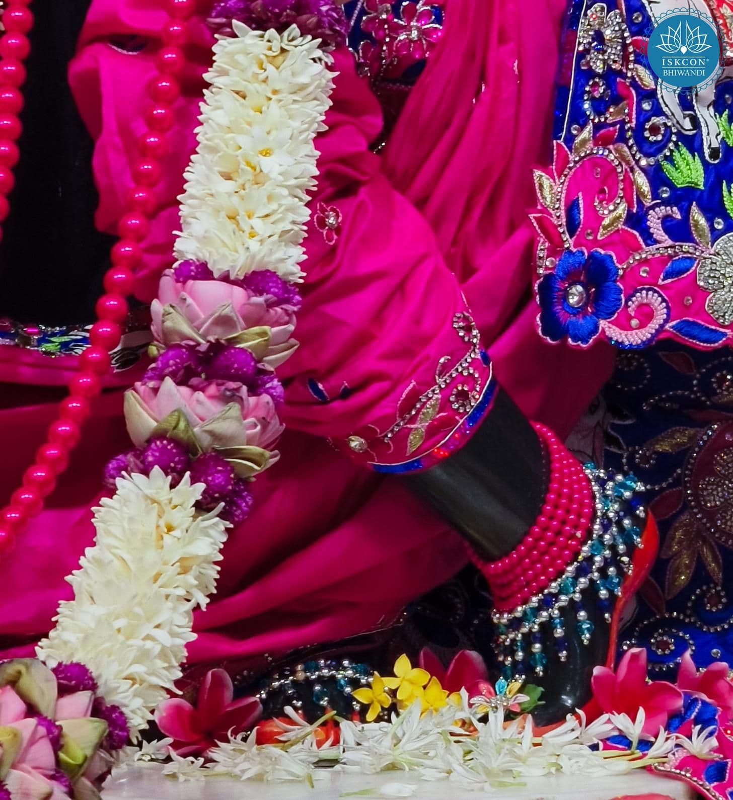 Sringar Darshan photo 6 of 12 — 5 June 2026