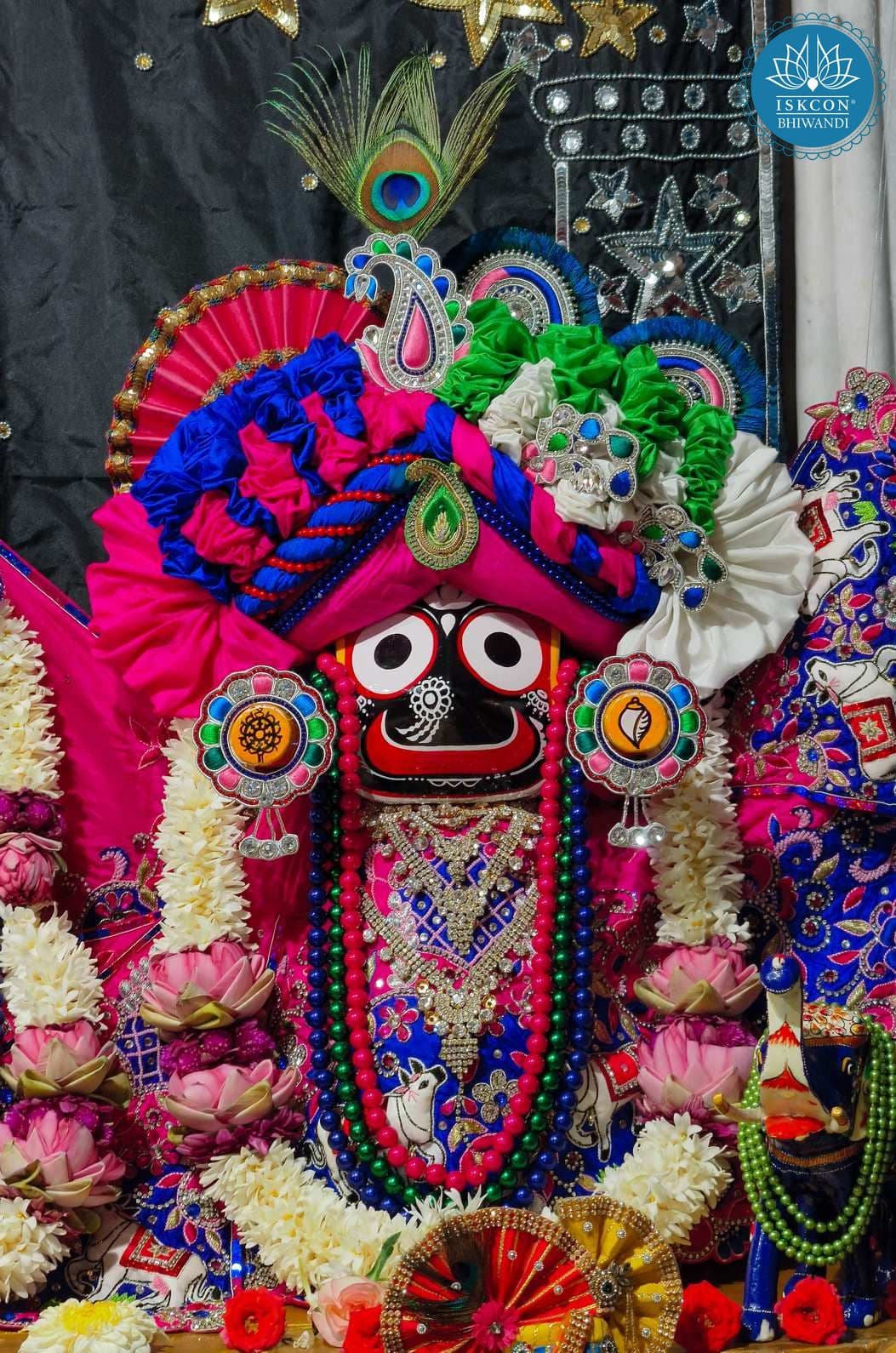 Sringar Darshan photo 8 of 12 — 5 June 2026