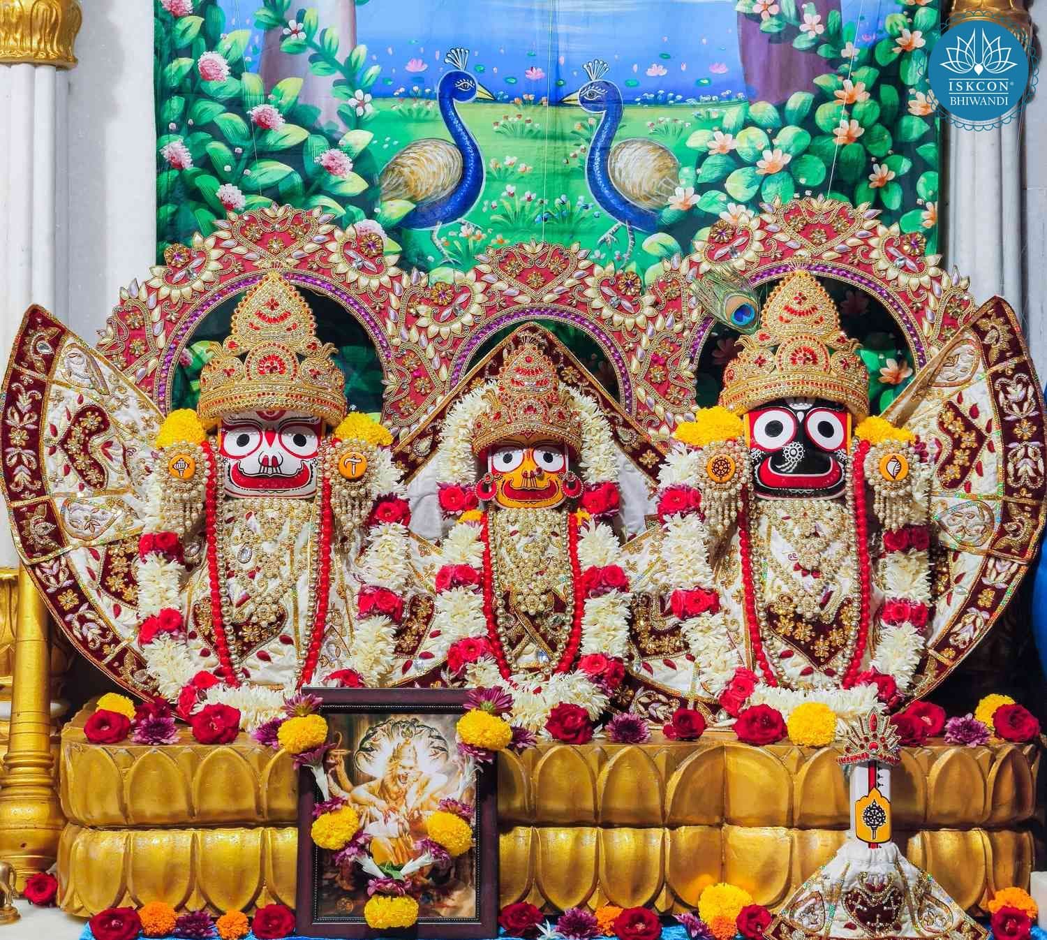 Sringar Darshan photo 2 of 12 — 8 June 2026
