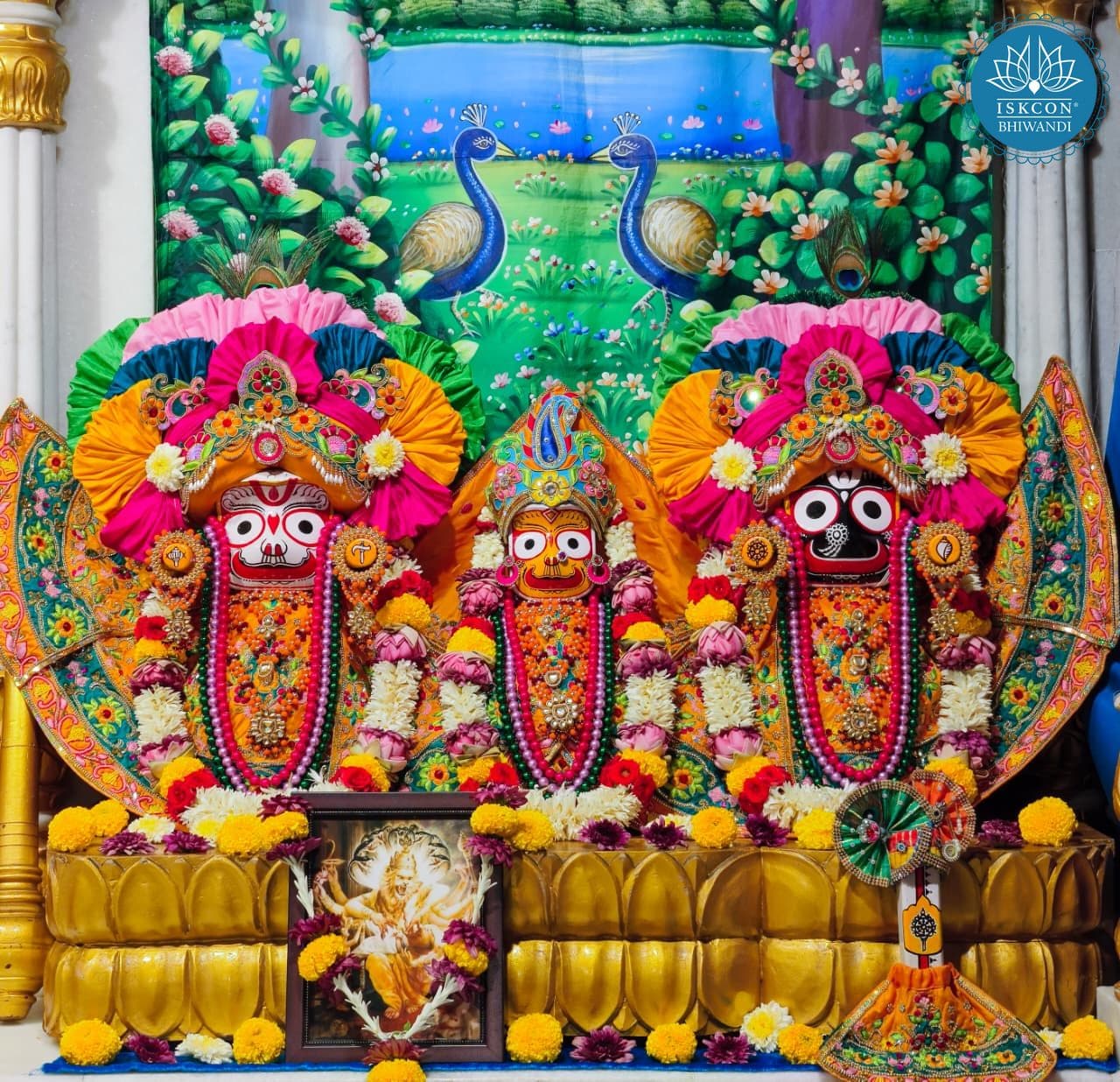 Sringar Darshan photo 11 of 12 — 9 June 2026