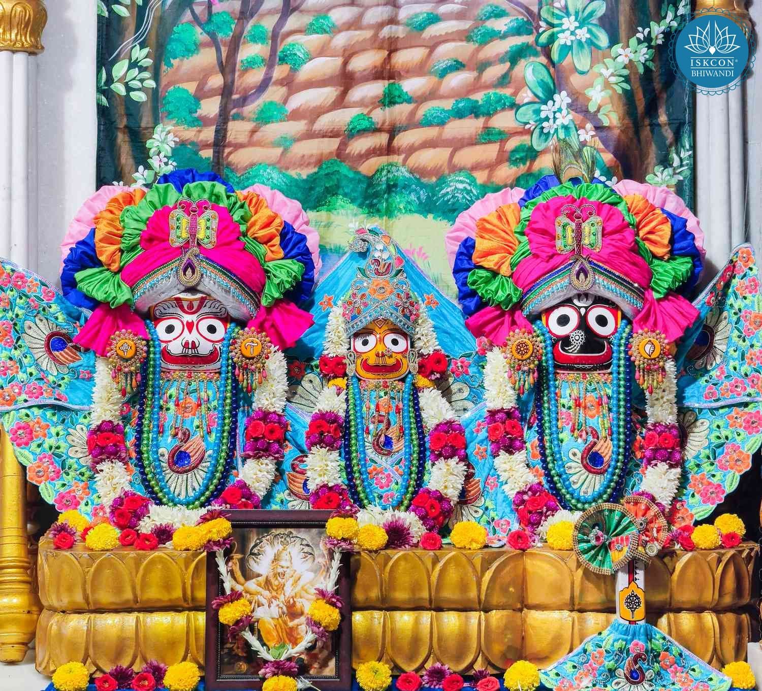 Sringar Darshan photo 4 of 12 — 12 June 2026